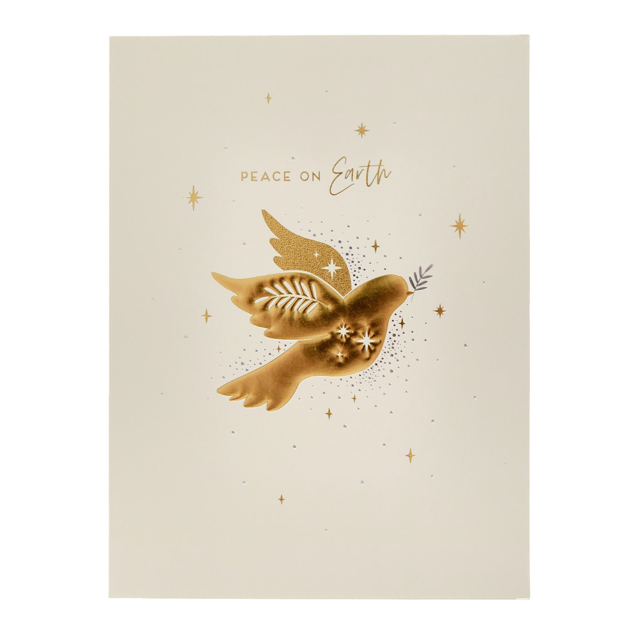 Deluxe Religious Charity Christmas Cards - Pack of 10 (2 Designs) | cardfactory