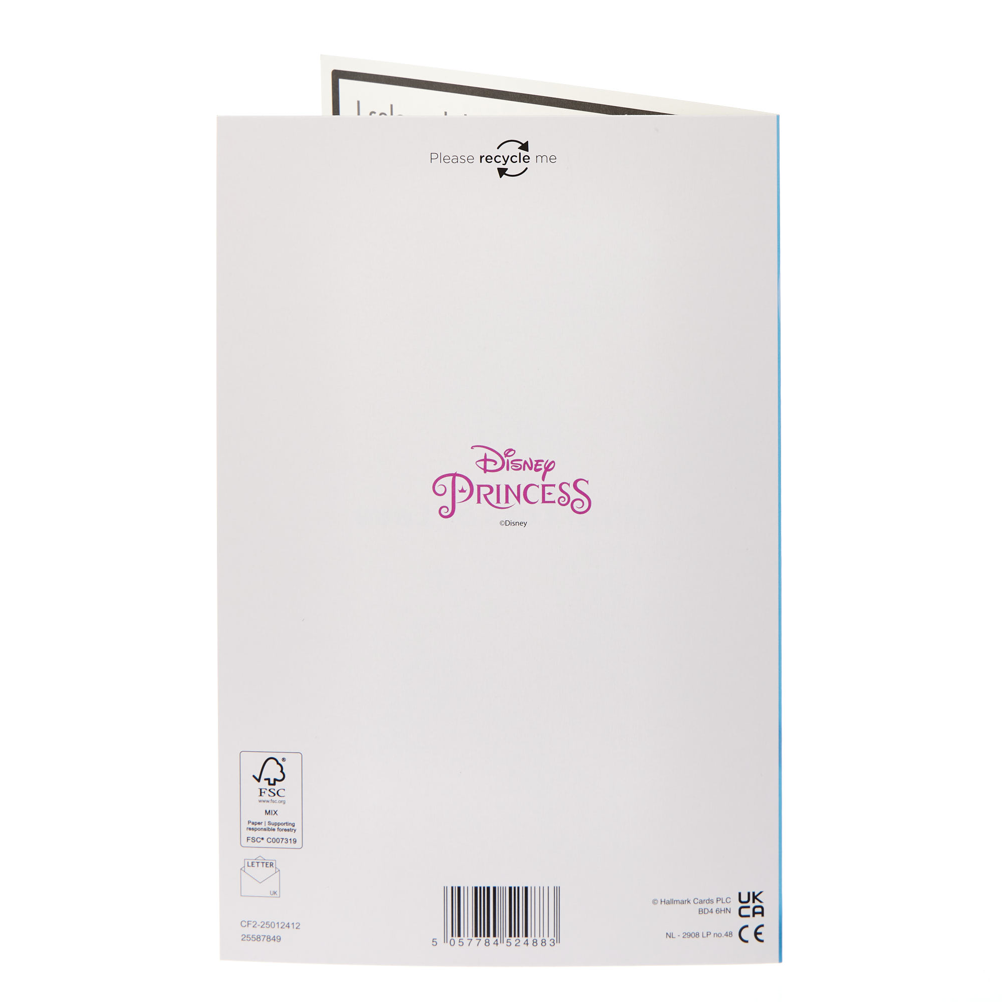 Dad from Daughter Disney Princess Father's Day Card