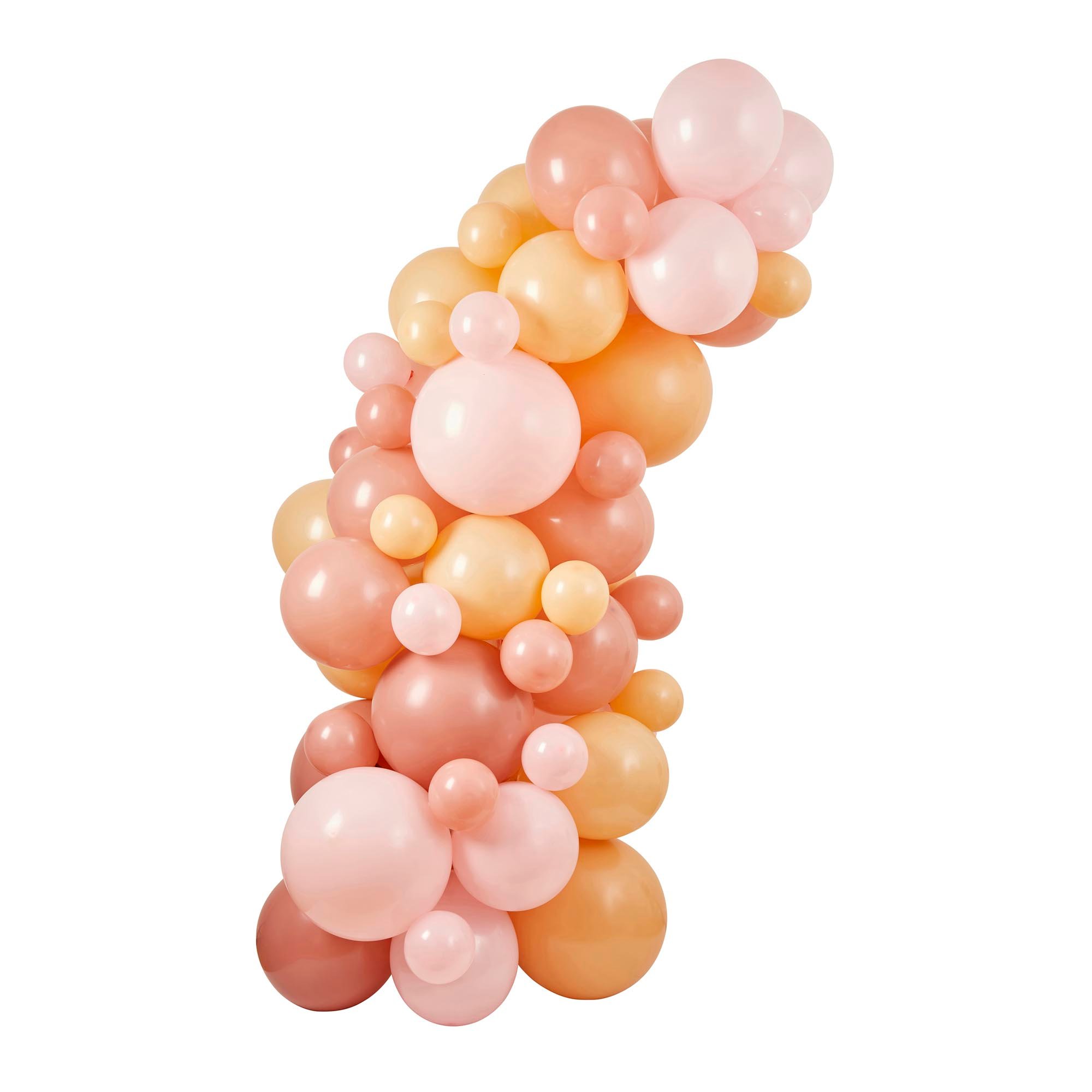 Pink & Nude Balloon Arch Kit 