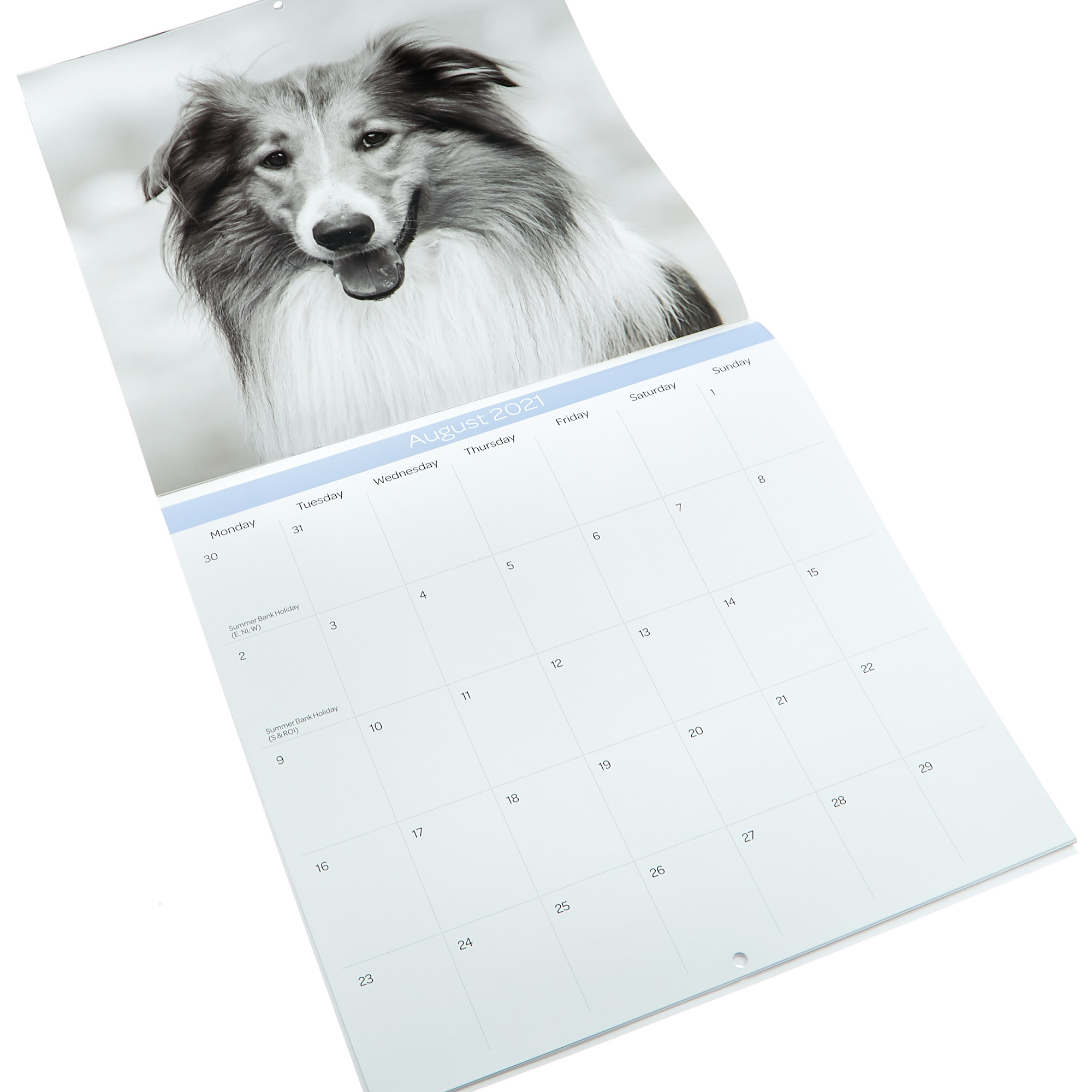 Dogs 2021 Calendar