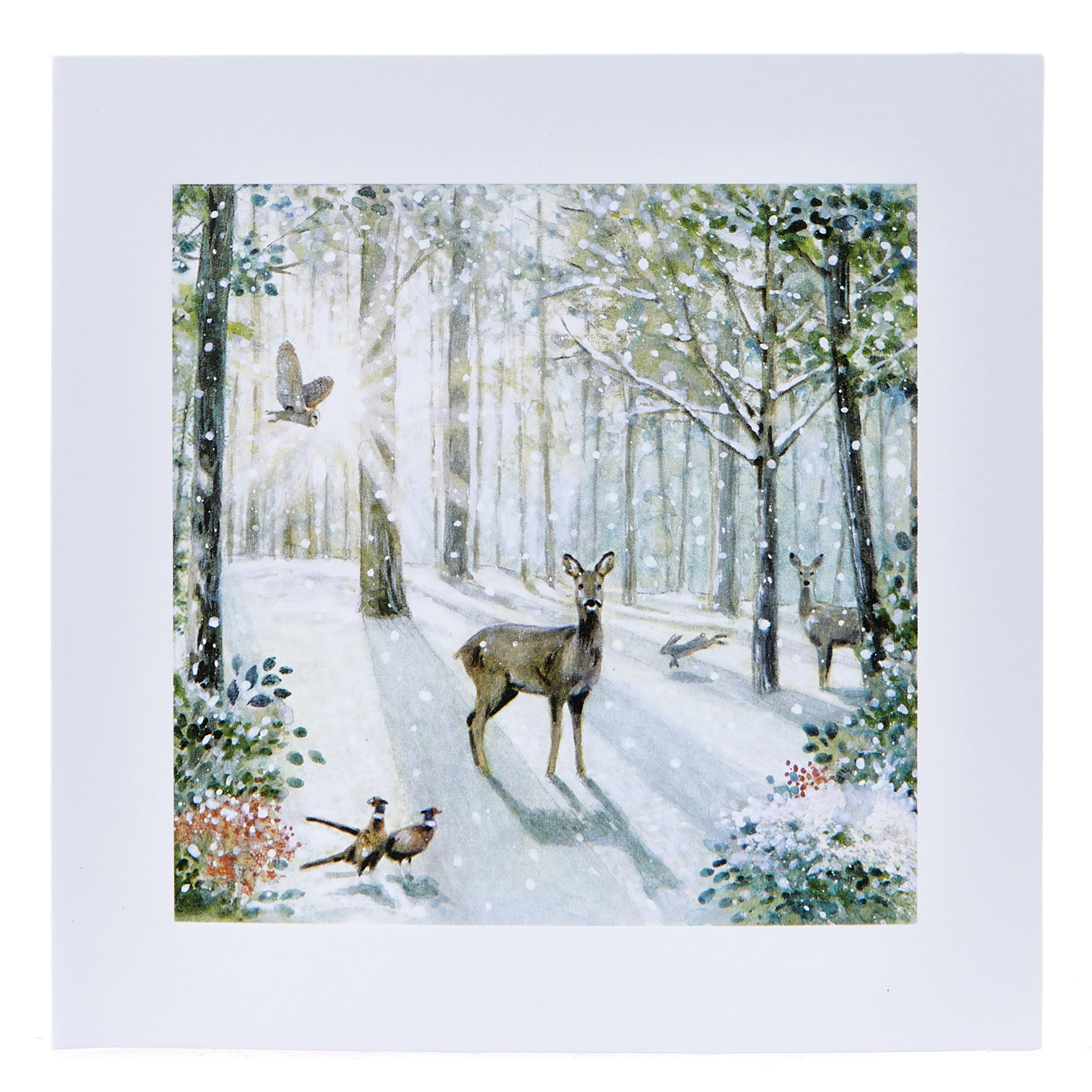 Boxed Charity Christmas Cards - Winter Wonderland Pack of 20