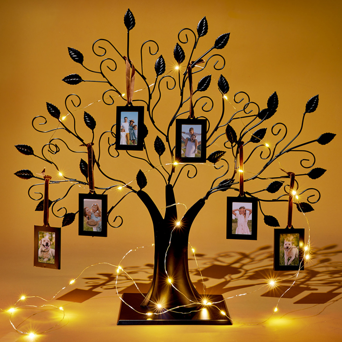 Family Tree 6 Picture Frame