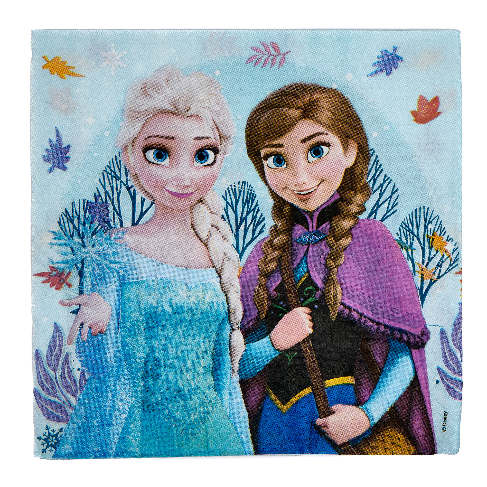 Frozen Idyllic Wonder Birthday Party Tableware & Decoration Bundle - 16 Guests 