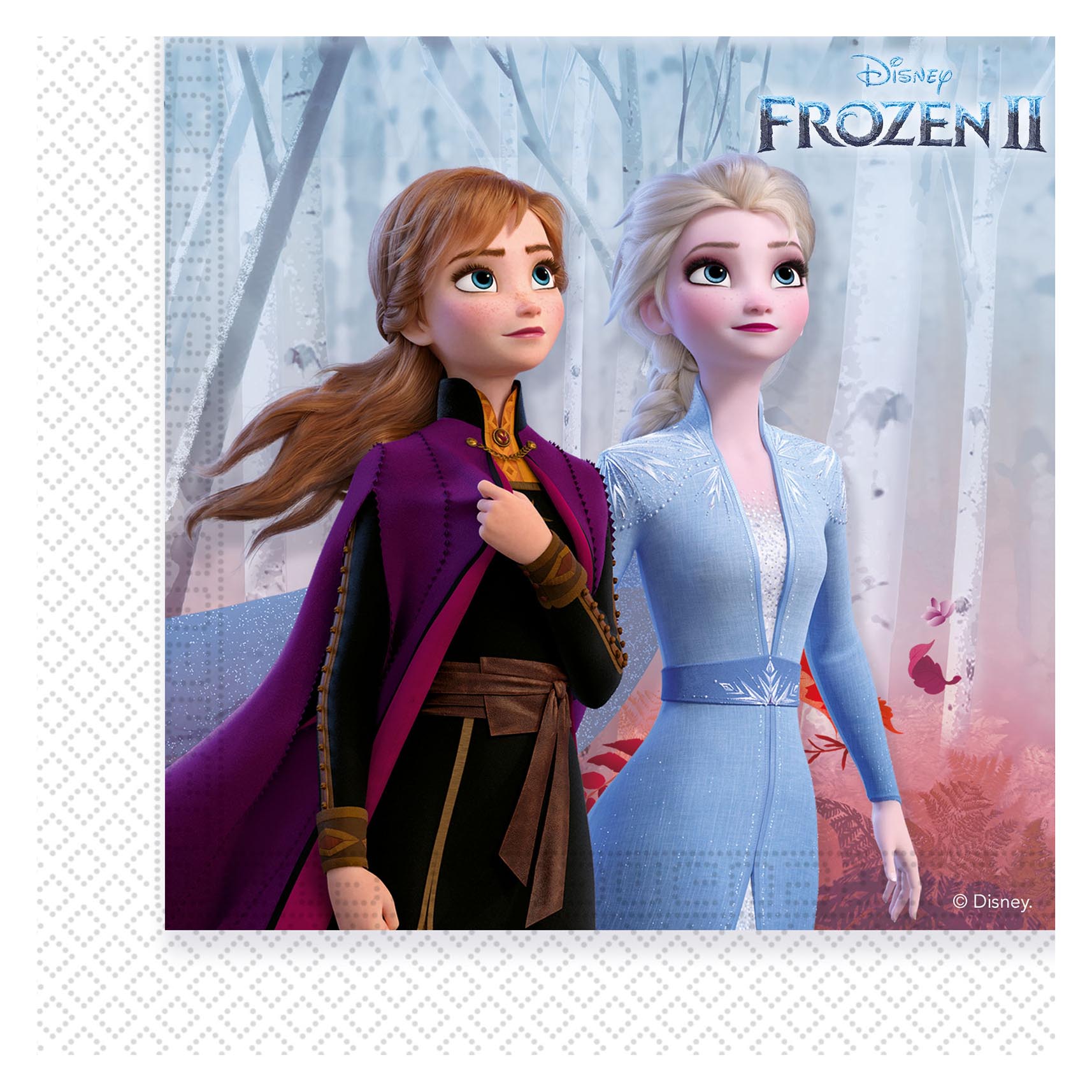 Frozen 2 Party Tableware & Decorations Bundle - 16 Guests