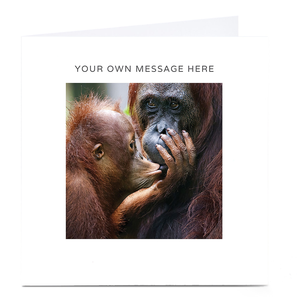 Personalised Card - Orangutans