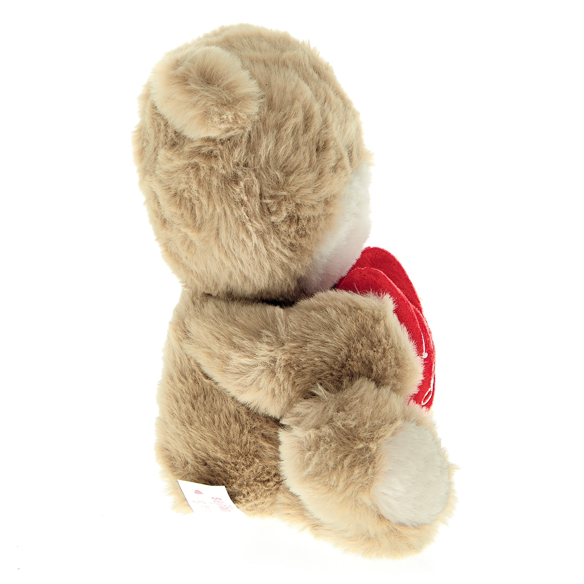 Hugs I Love You Bear Soft Toy