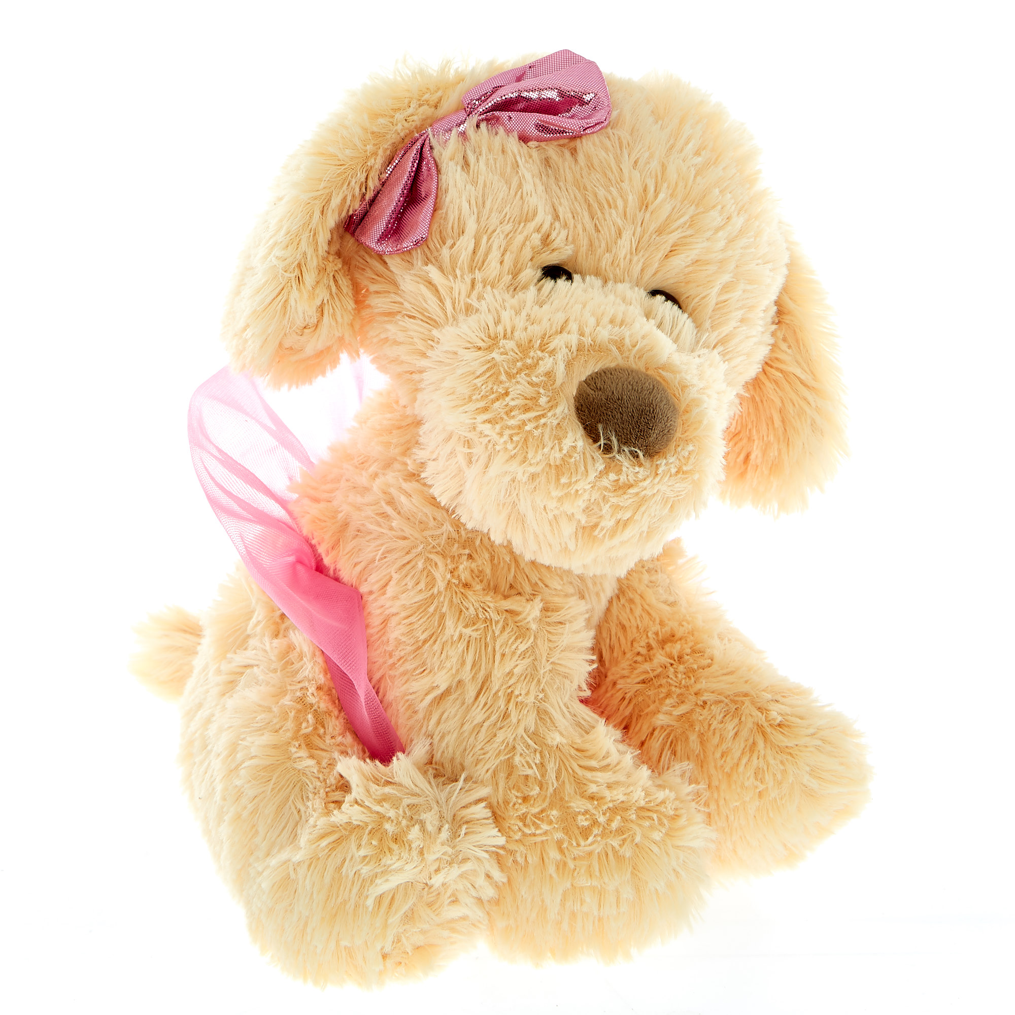 Dog In A Tutu Soft Toy