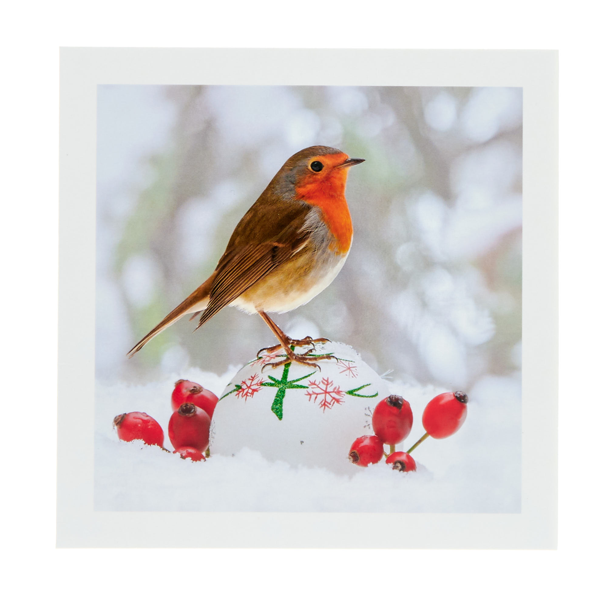 18 Charity Christmas Cards - Deer & Robin (2 Designs)