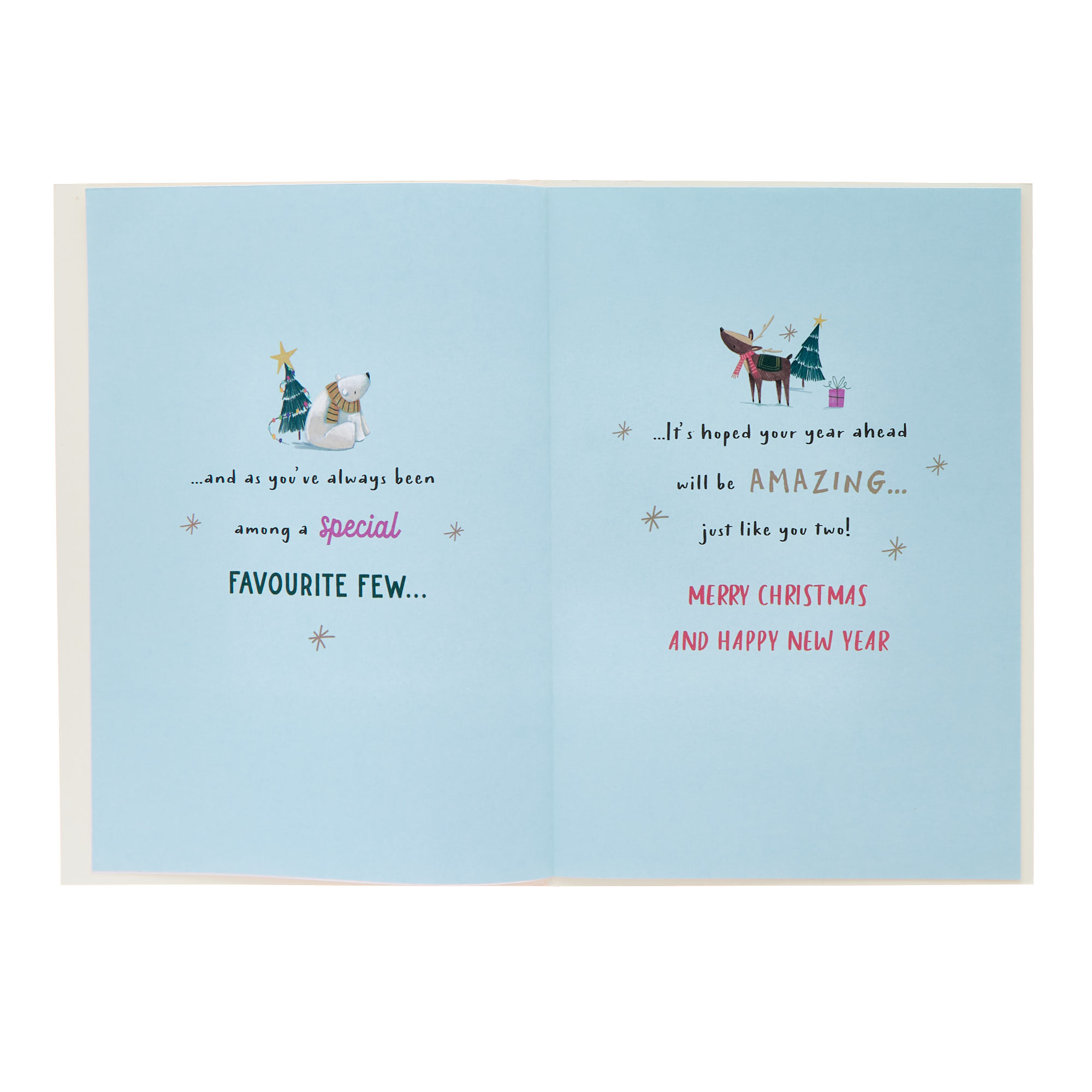 Sister & Brother In Law Fun Bright & Fun Christmas Card