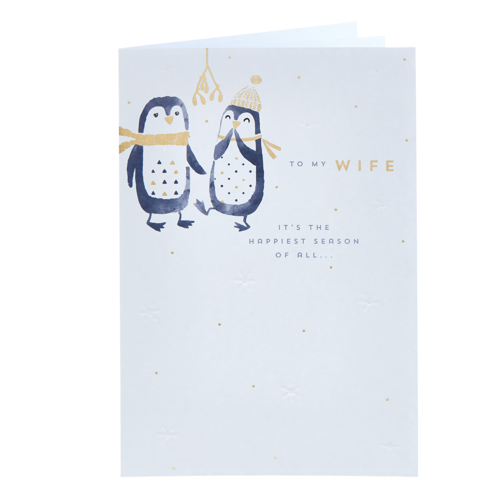 Wife Painted Penguins Christmas Card