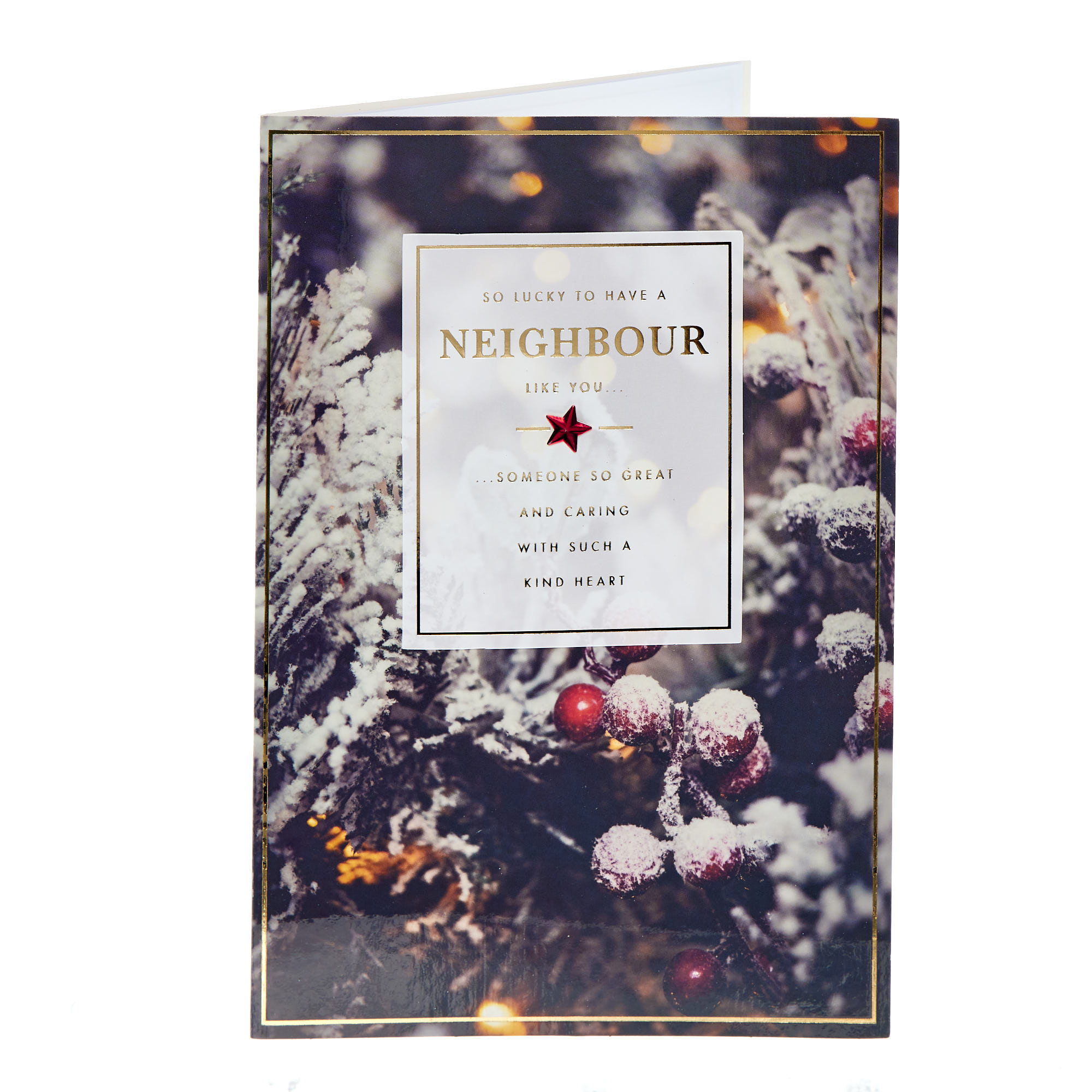 Neighbour Classic Garland Christmas Card