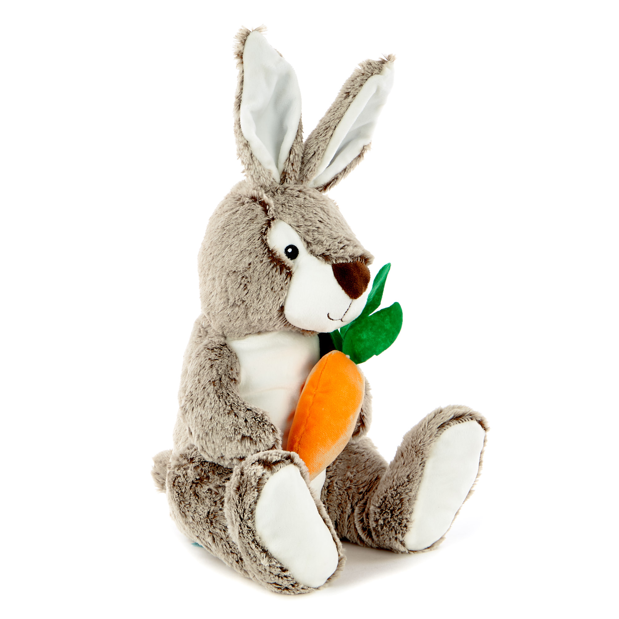 Bunny With Carrot Soft Toy
