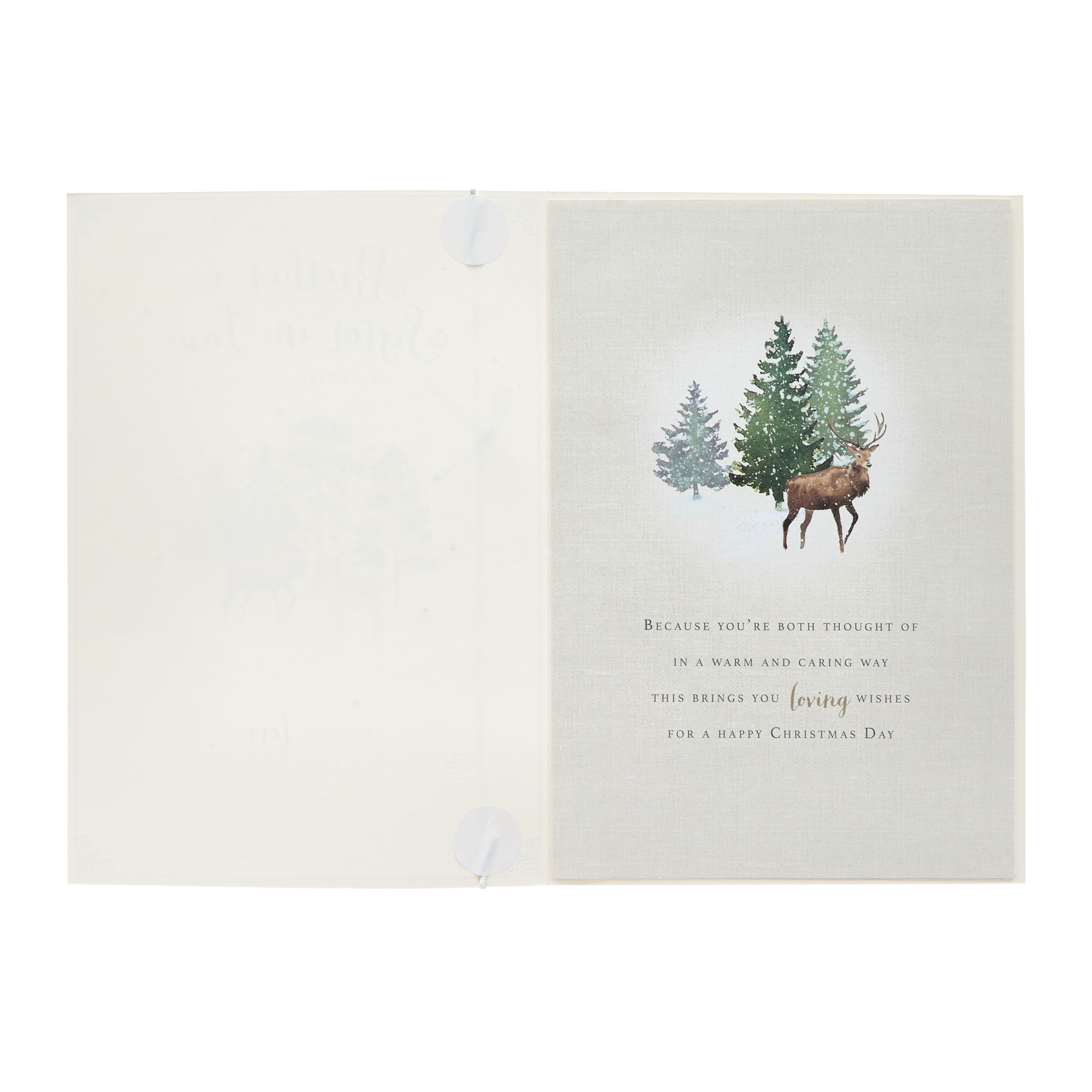 Brother & Sister In Law Deers & Trees Christmas Card