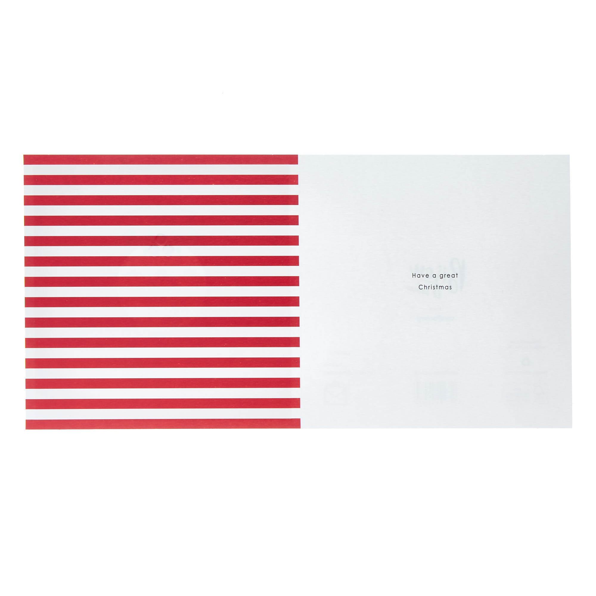 Season's Greetings Xmas Pudding Christmas Card
