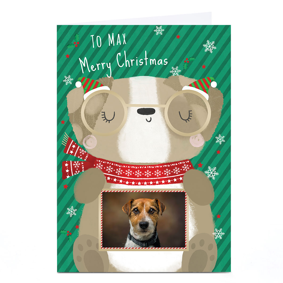 Photo Christmas Card - To The Dog Cartoon