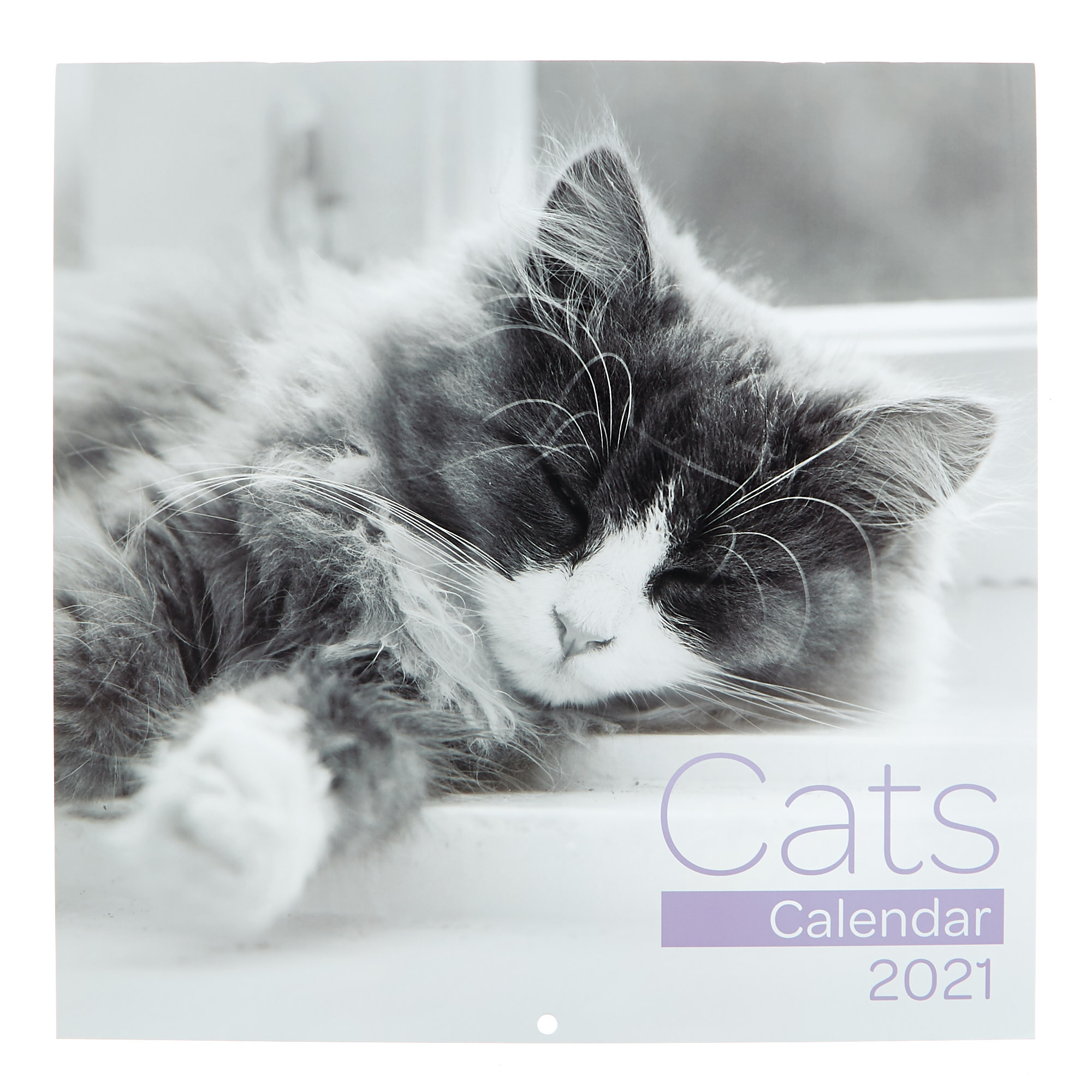 Cats 2021 Calendar