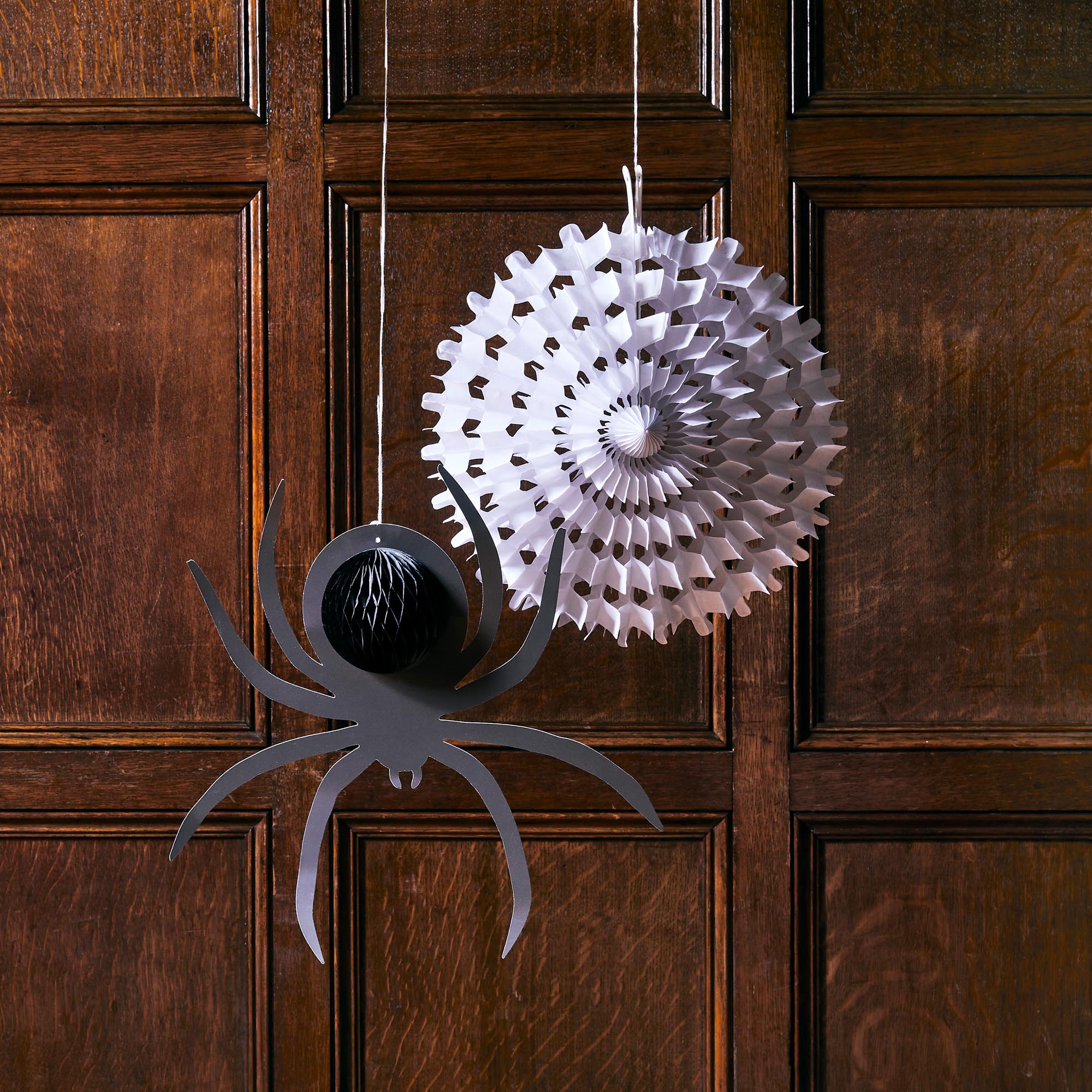 Spider Web & Spider Honeycomb - Pack of 2
