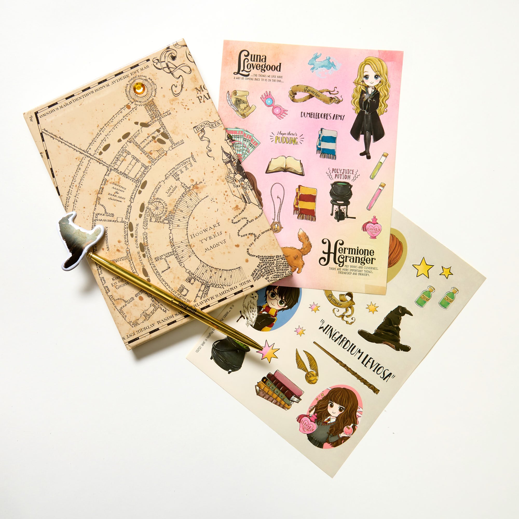 Harry Potter Light Up Diary Set