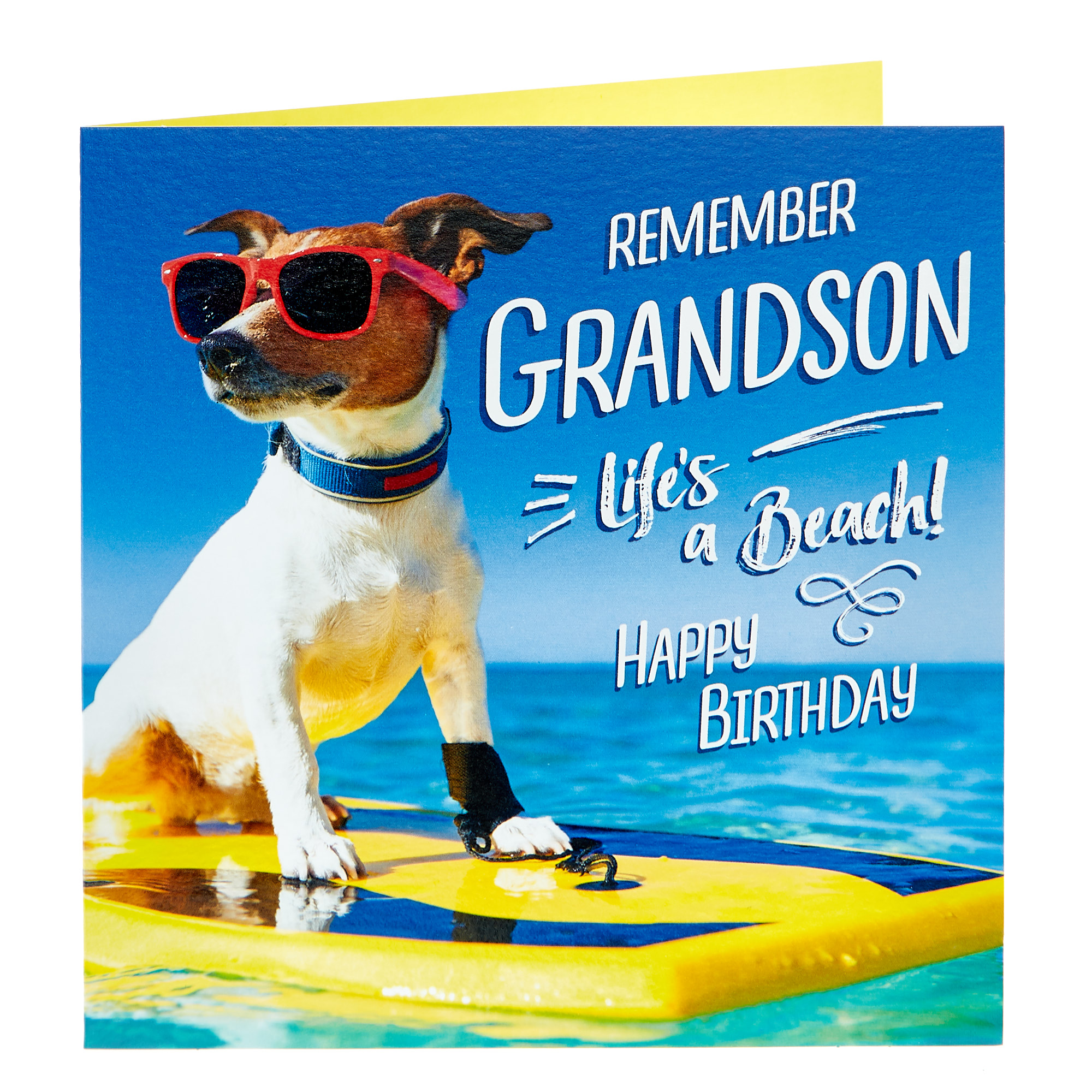 Birthday Card - Grandson, Surfing Dog