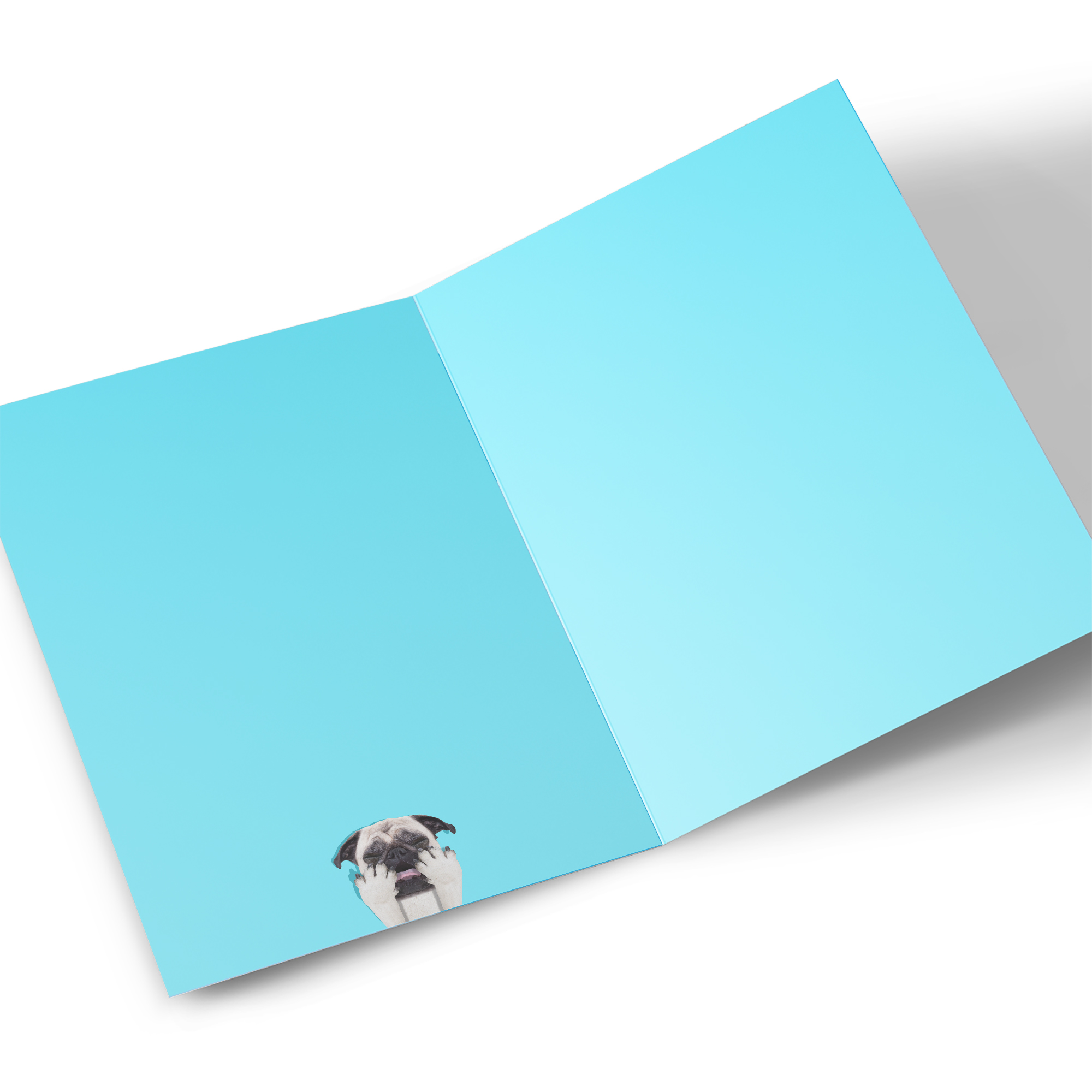 Personalised Editable Age Birthday Card - Dog