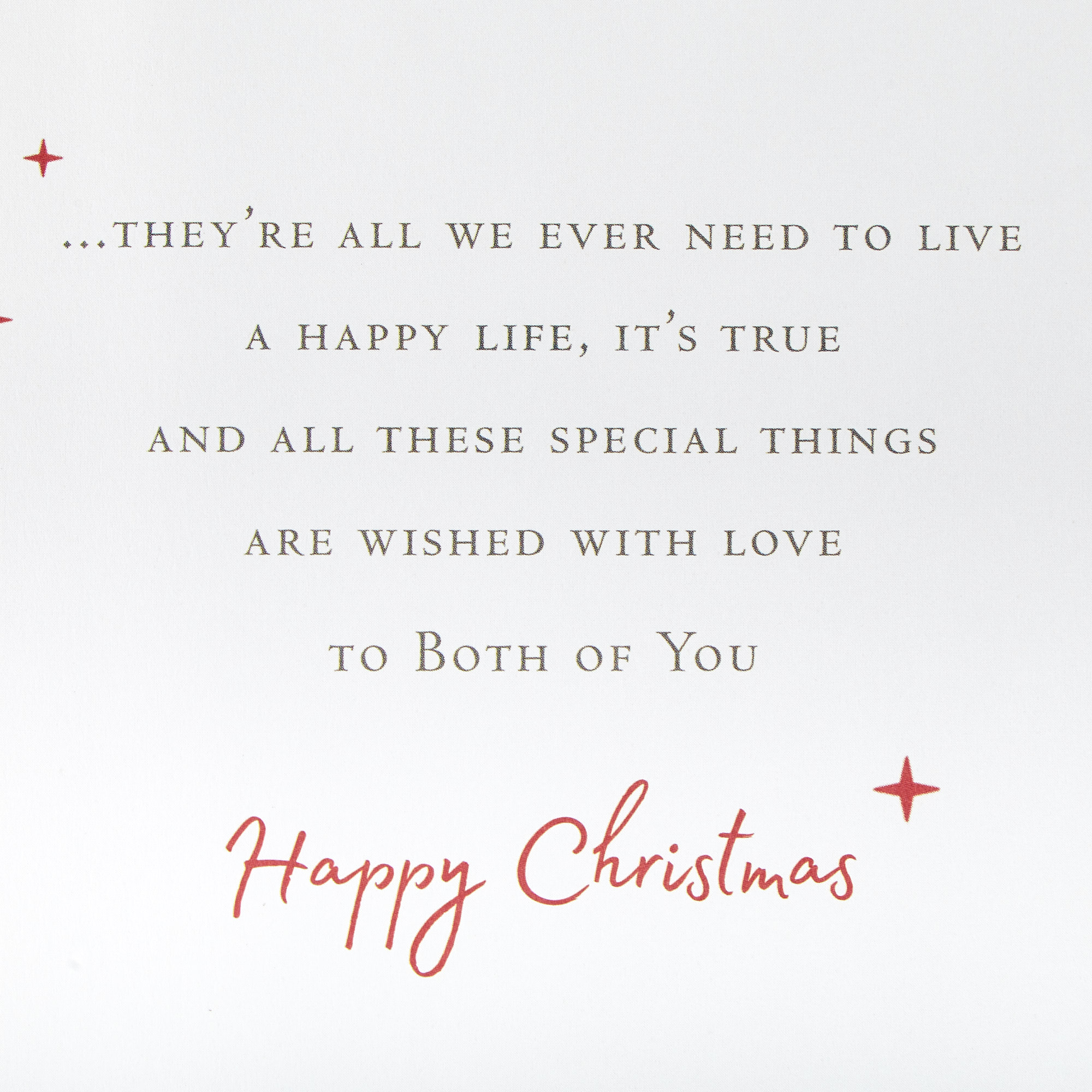 Christmas Card - Festive Wishes To Both Of You