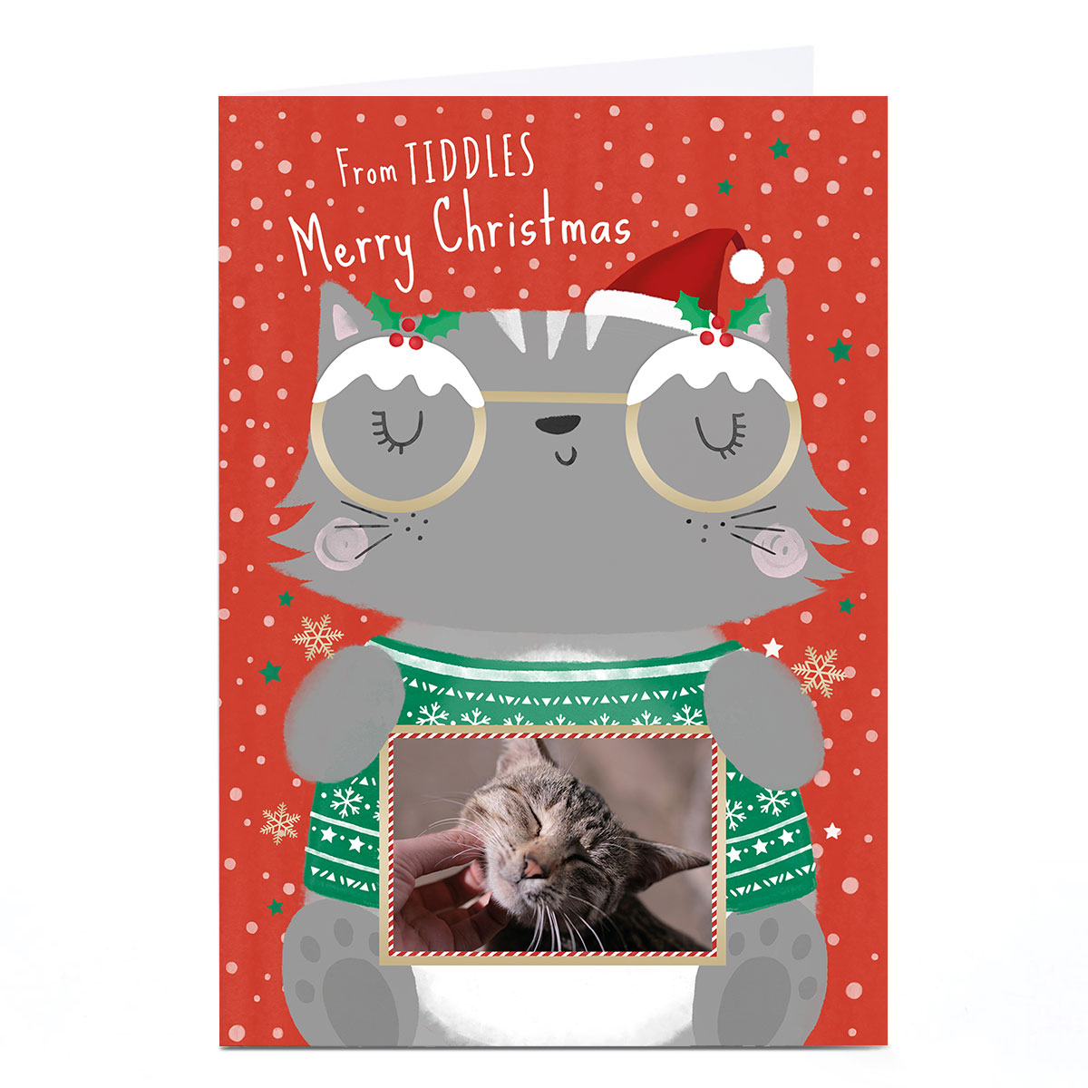Photo Christmas Card - From The Cat Cartoon