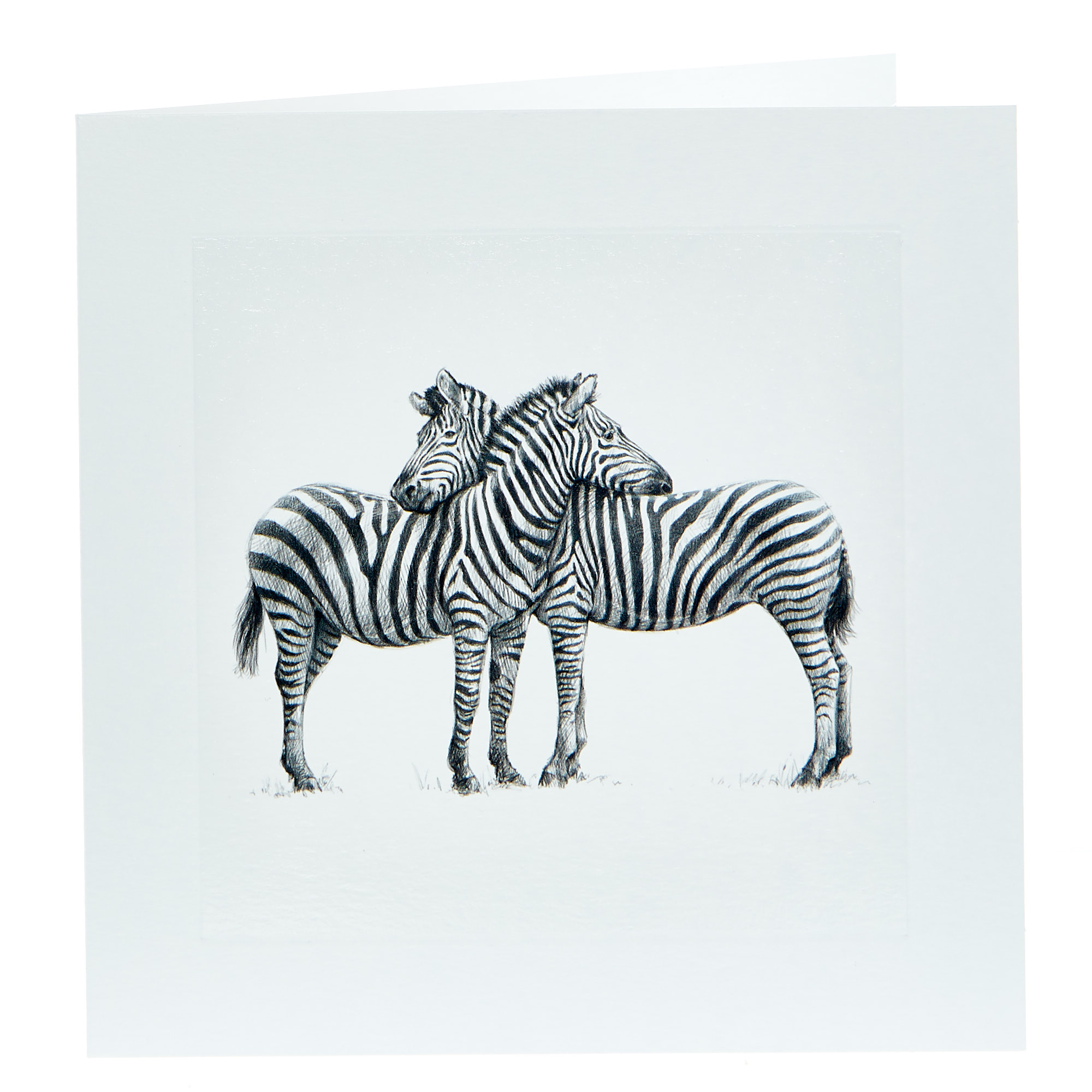 Any Occasion Card - Zebra Couple