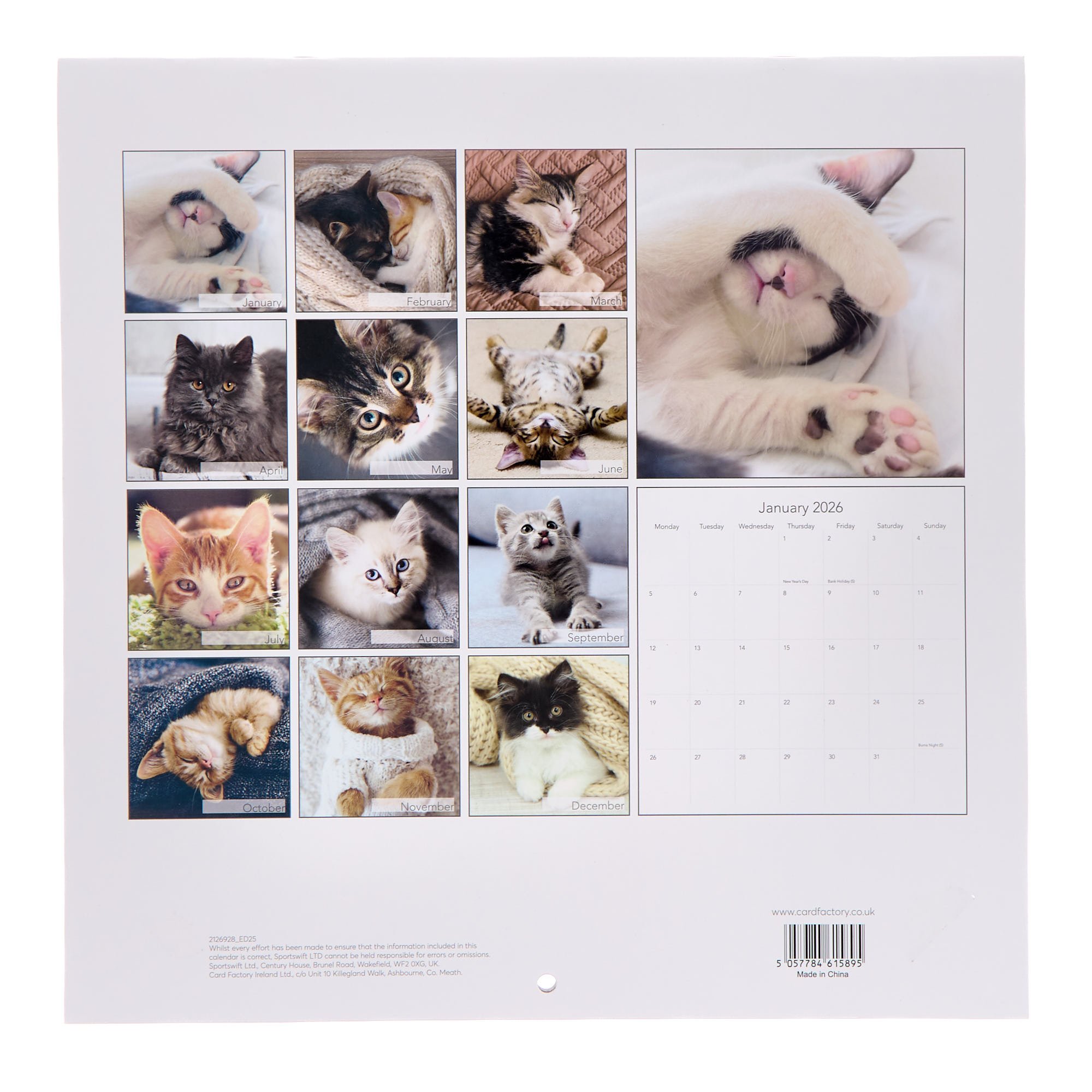 Cats & Kittens 2026 Square Wall Calendar