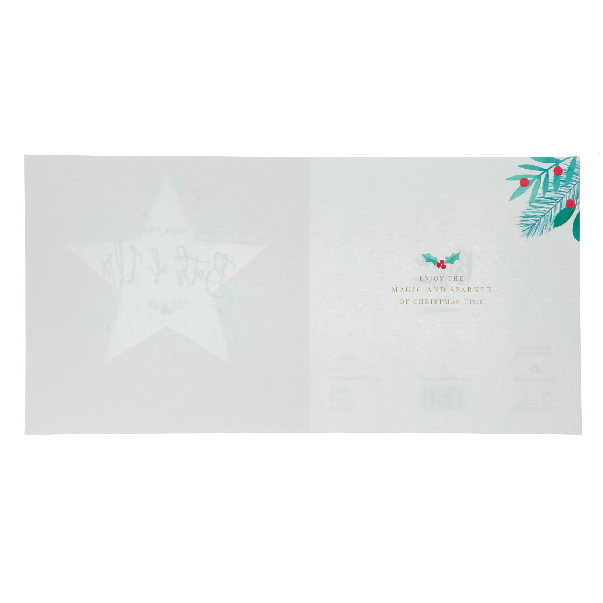 From Both Of Us Star & Leaves Christmas Card