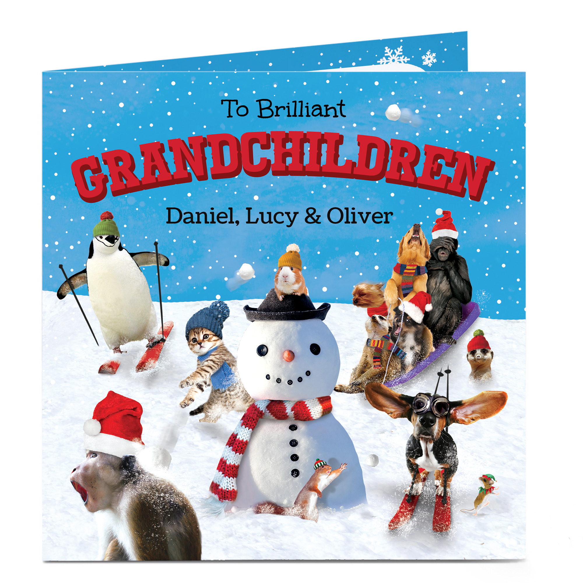 Personalised Christmas Card - Brilliant Grandchildren Snow Scene