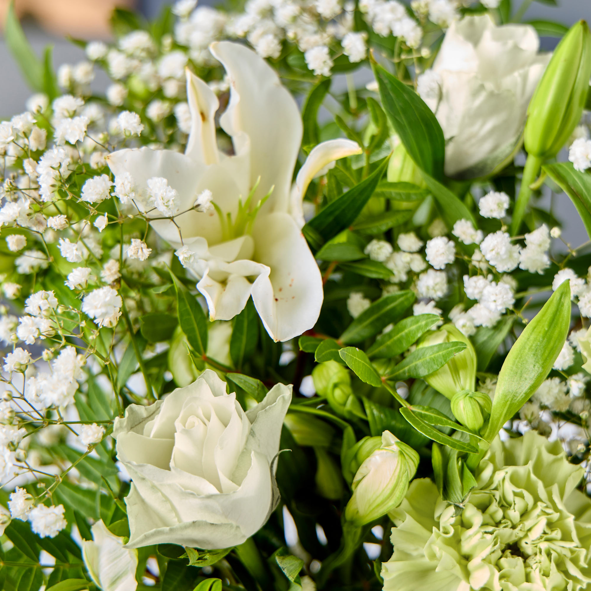 Blossoming Gifts Serenity Letterbox Flower Bouquet - Free Delivery!