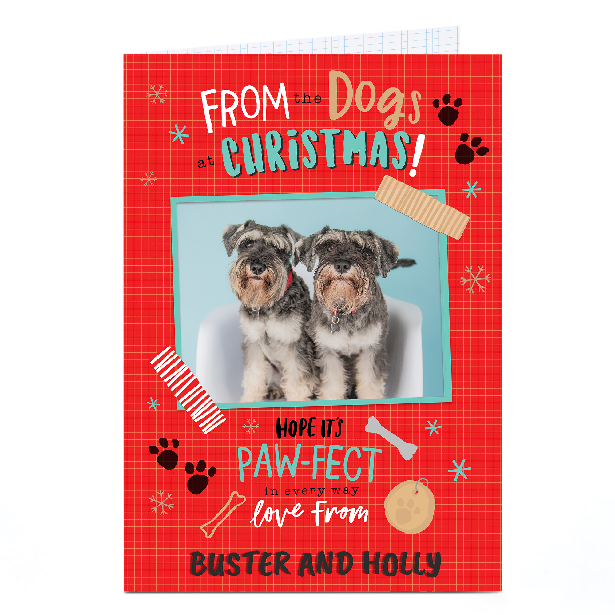 Photo Christmas Card - From The Dogs