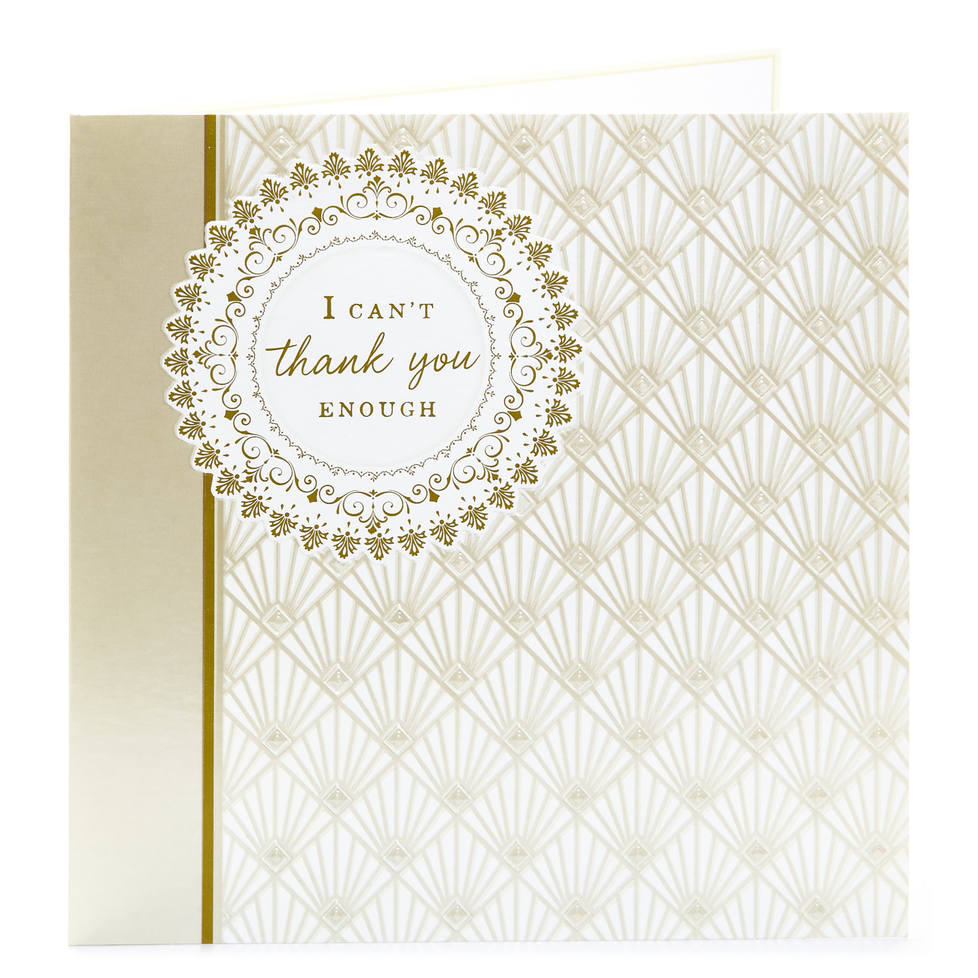 Thank You Card - I Can't Thank You Enough