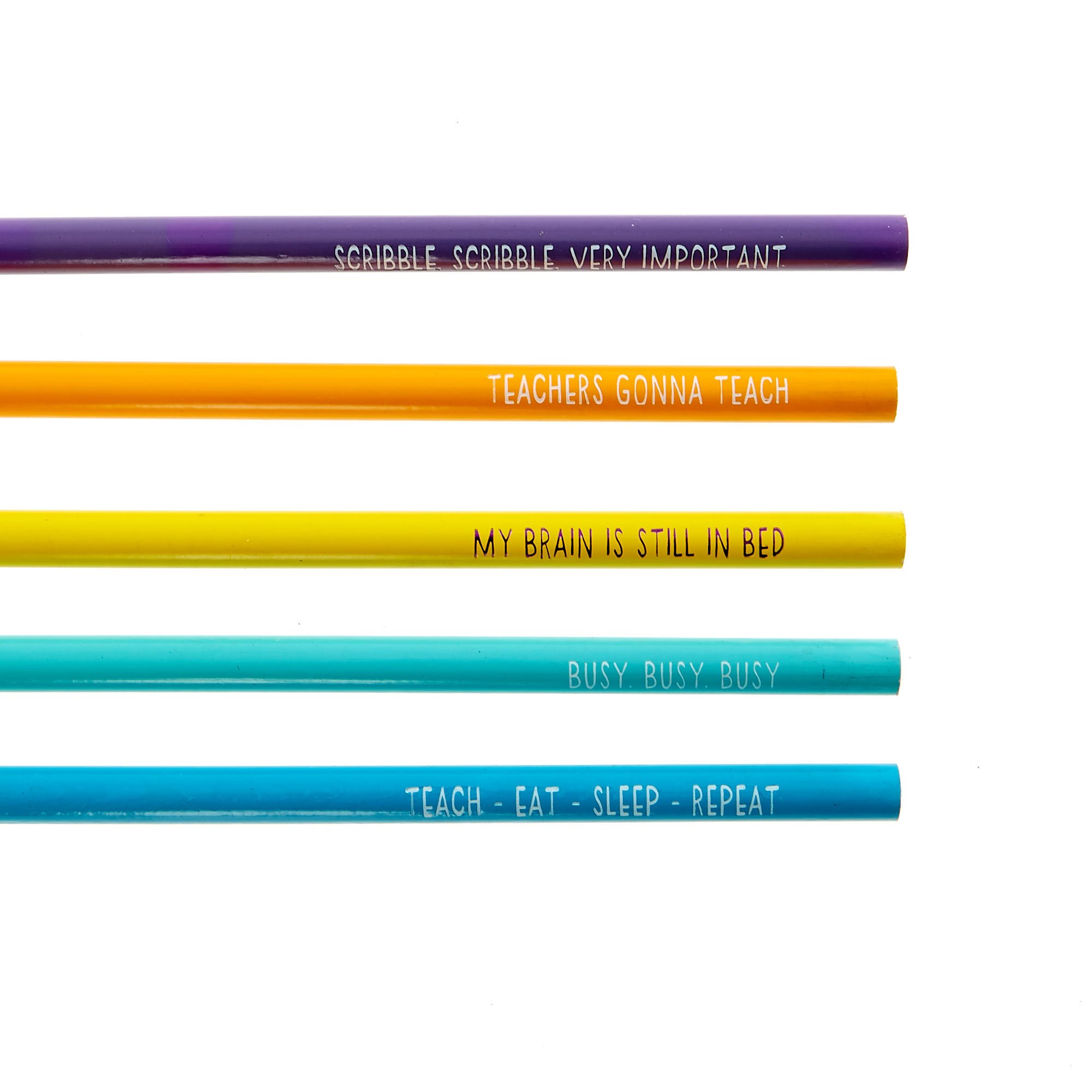 Facts About Teachers pencils - Set of 5