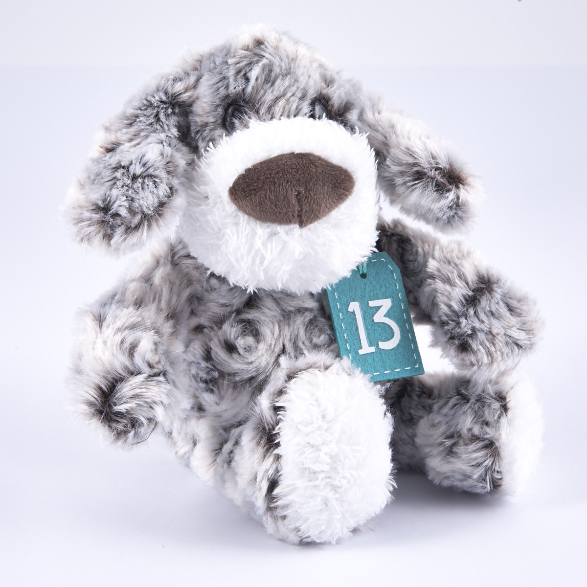 13th Birthday - Grey & White Dog In Gift Bag