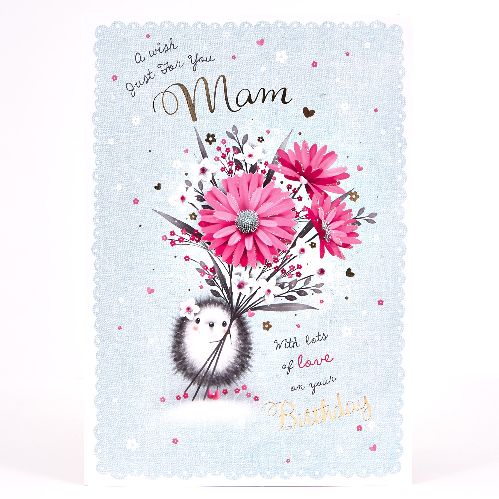 Signature Collection Birthday Card - Mam Hedgehog