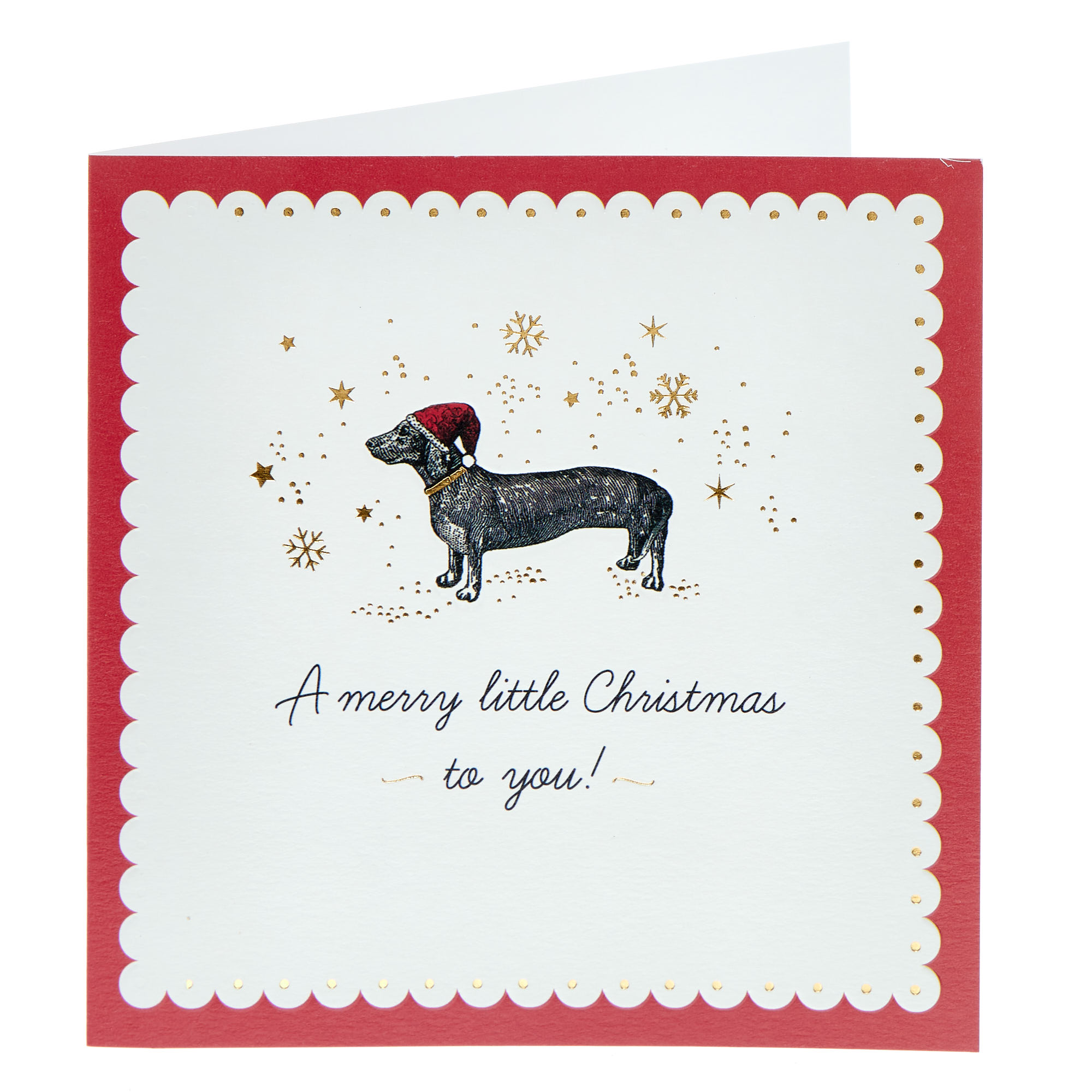 Merry Little Sausage Dog Christmas Card