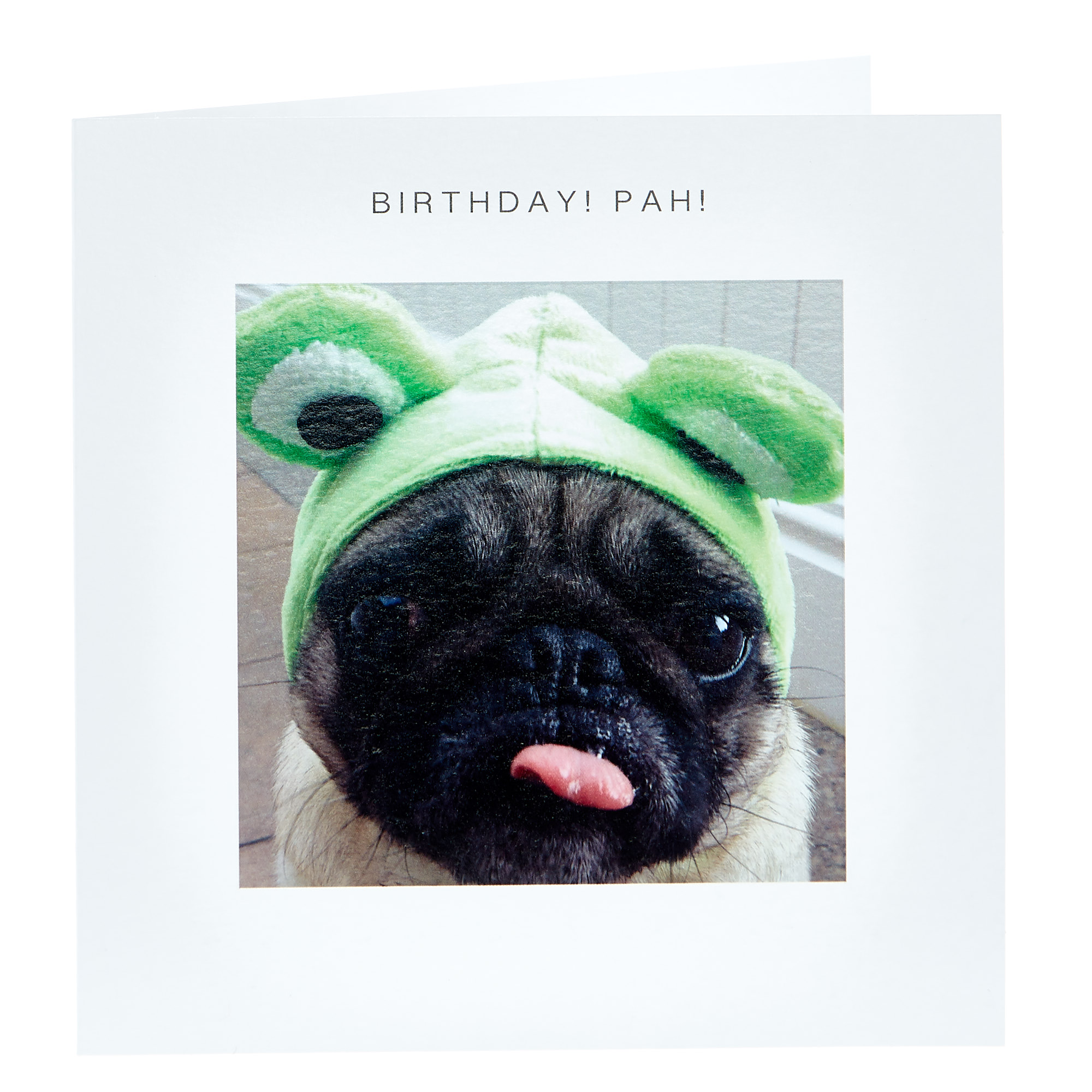Birthday Card - Pug In Costume