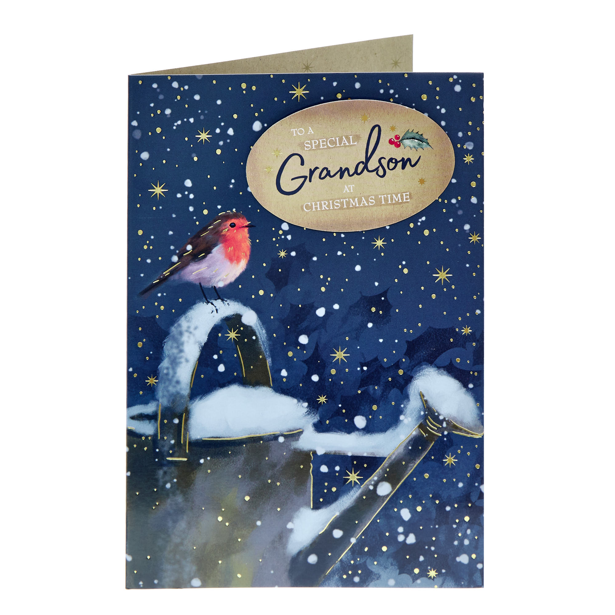 Grandson Robin Watering Can Christmas Card