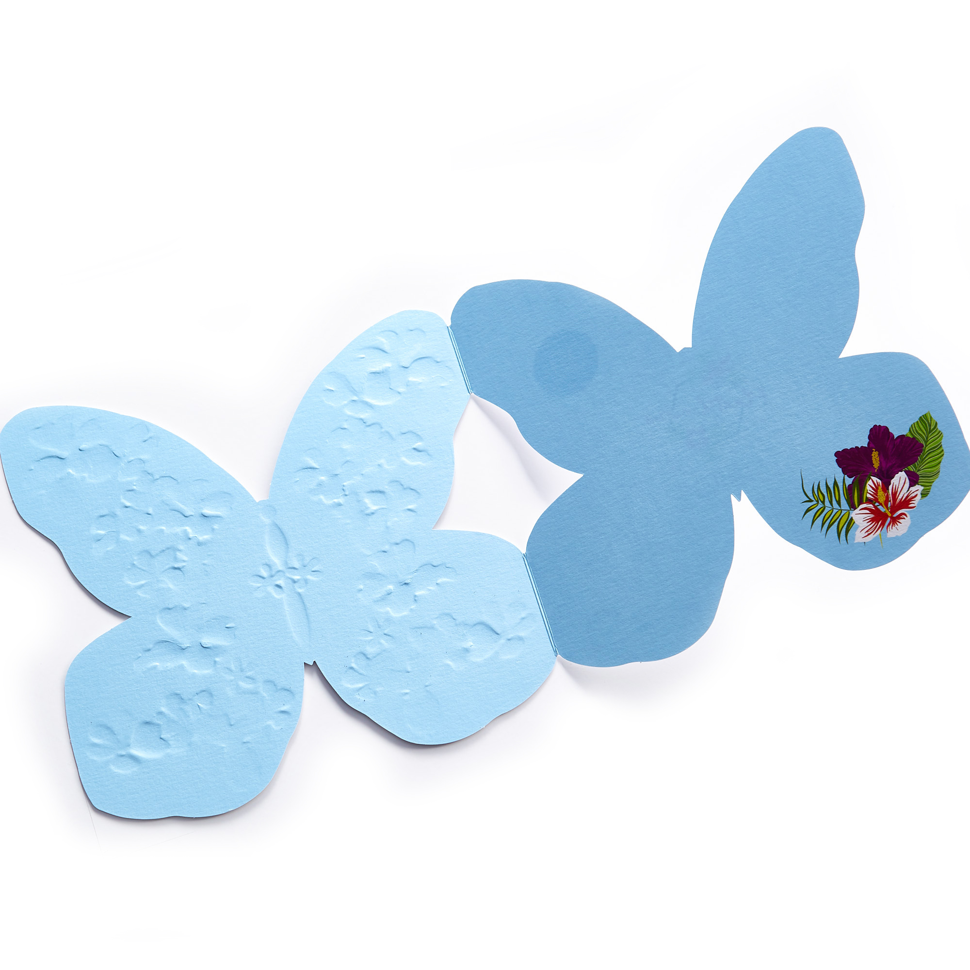 Any Occasion Card - Butterfly