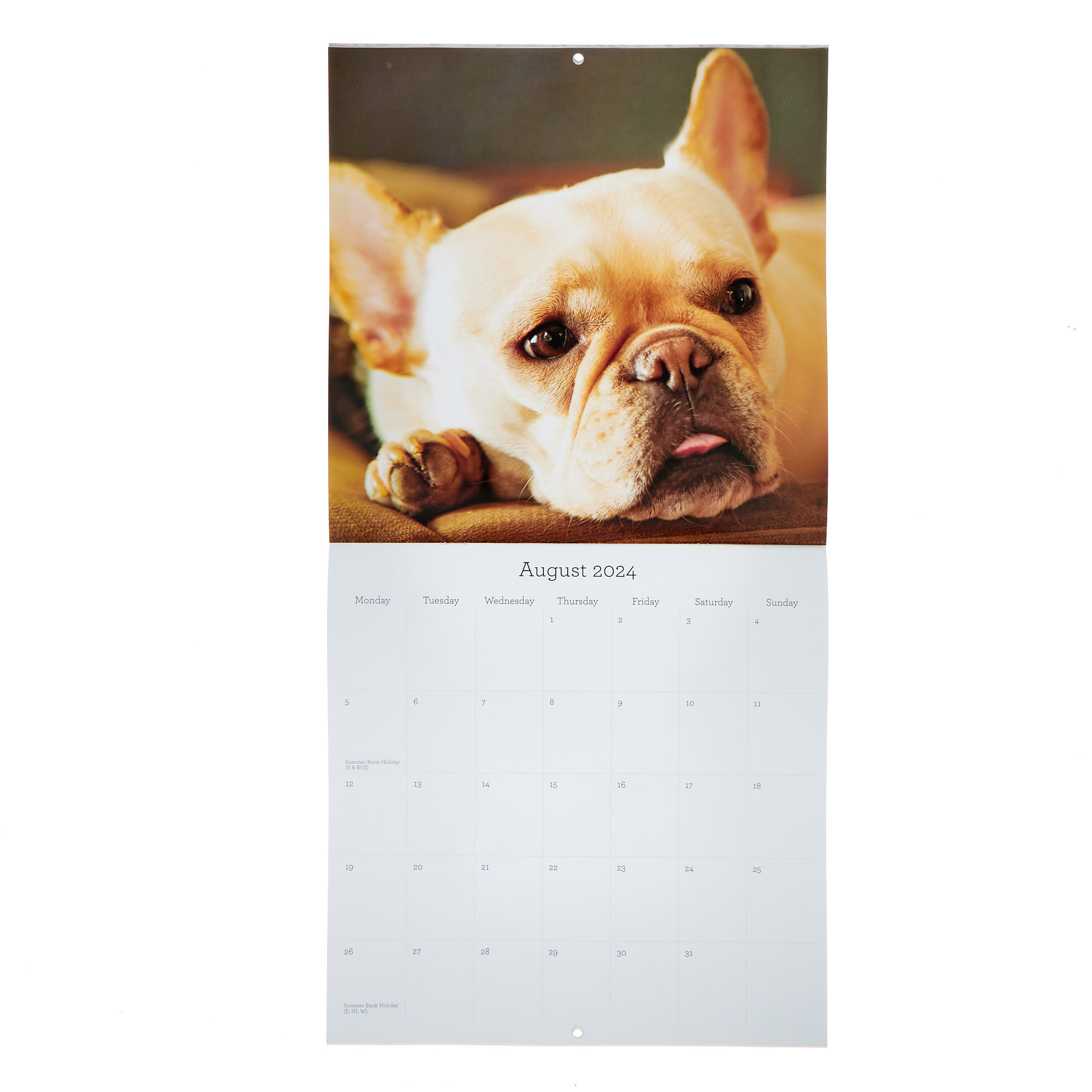 Buy Dogs 2025 Square Calendar for GBP 2.99 Card Factory UK