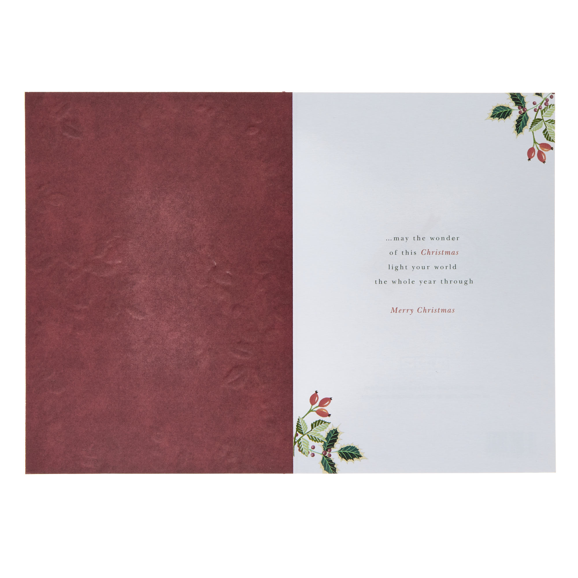 Special Couple Robins & Holly Christmas Card