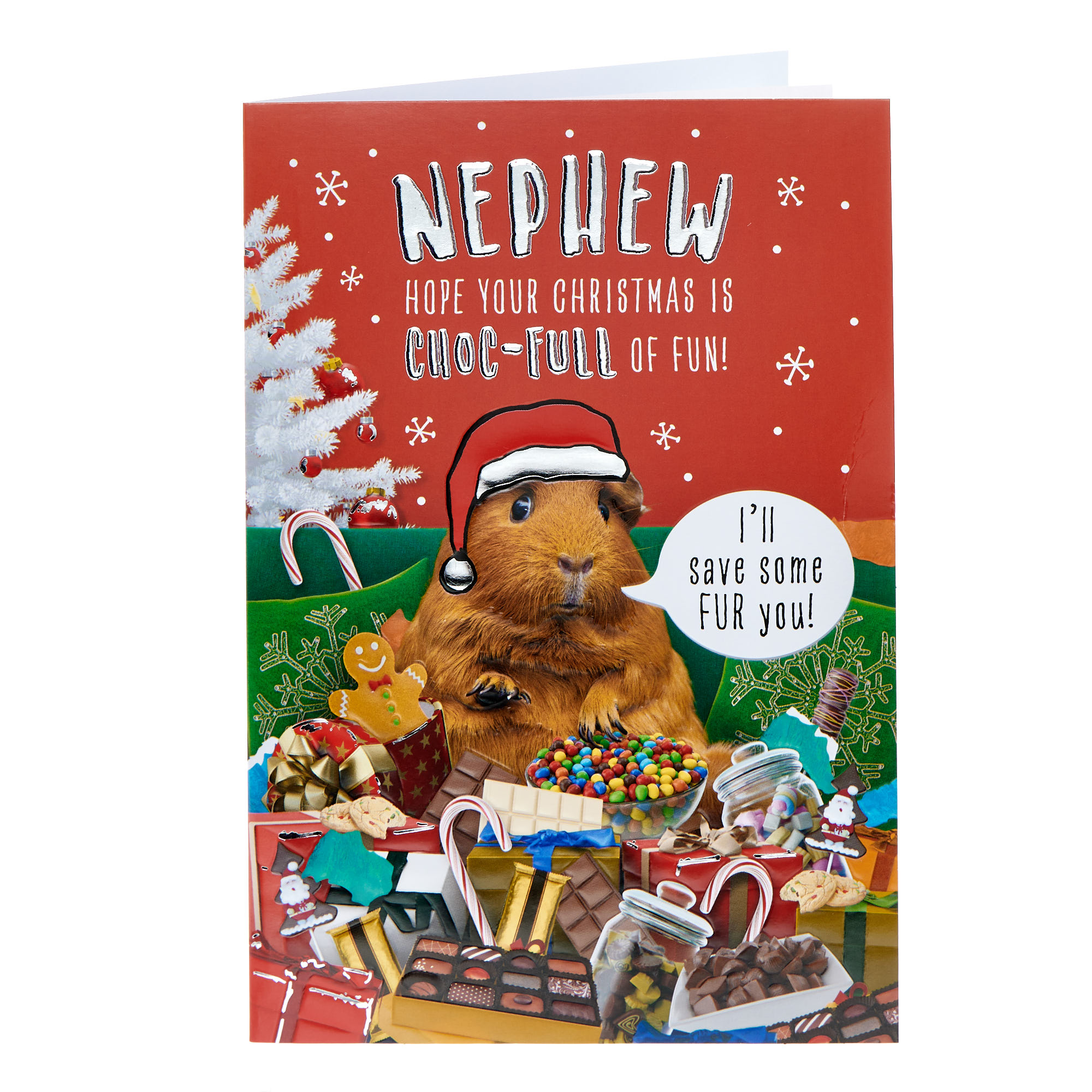 Nephew Full Of Fun Guinea Pig Christmas Card