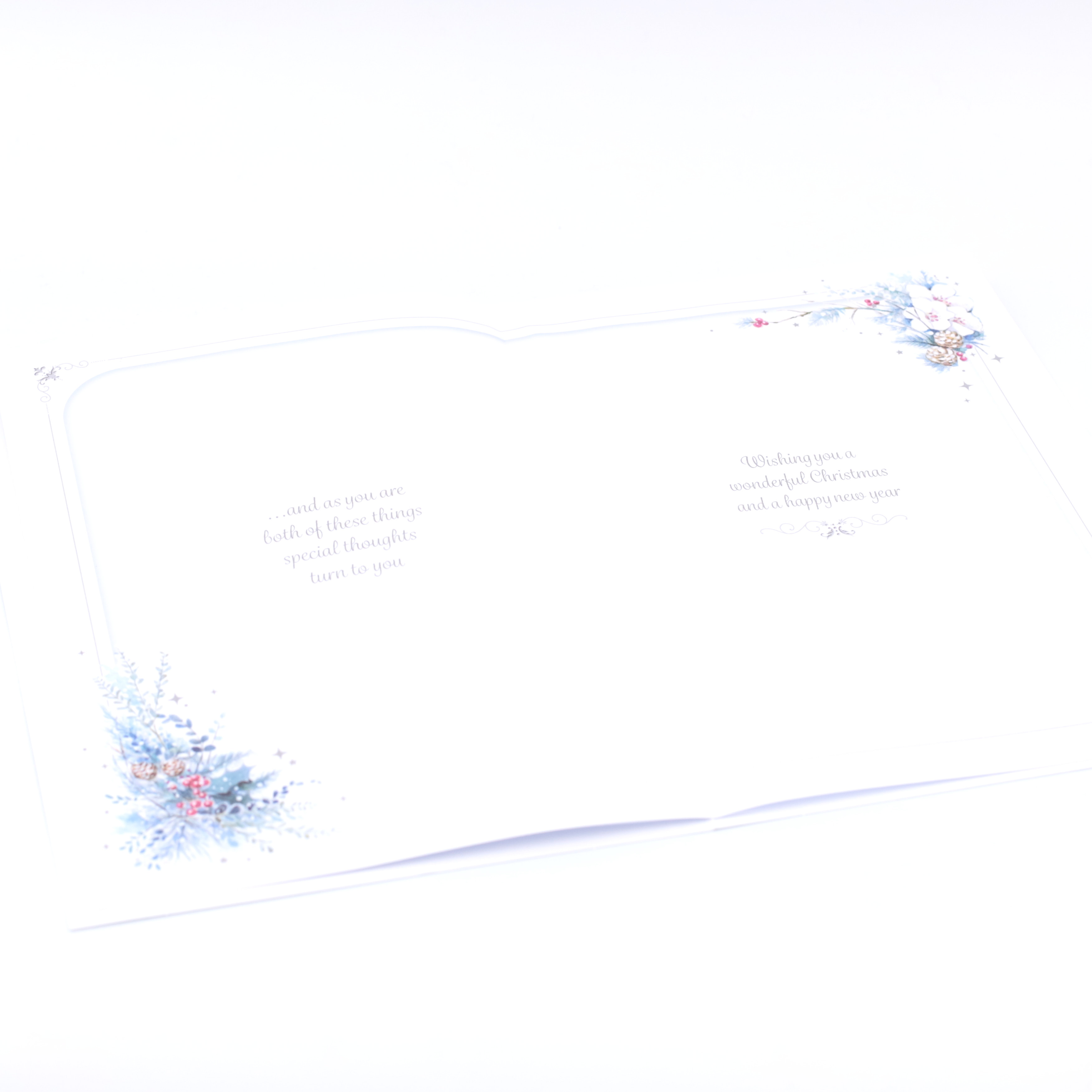 Friends & Neighbours Christmas Card Bundle - Traditional