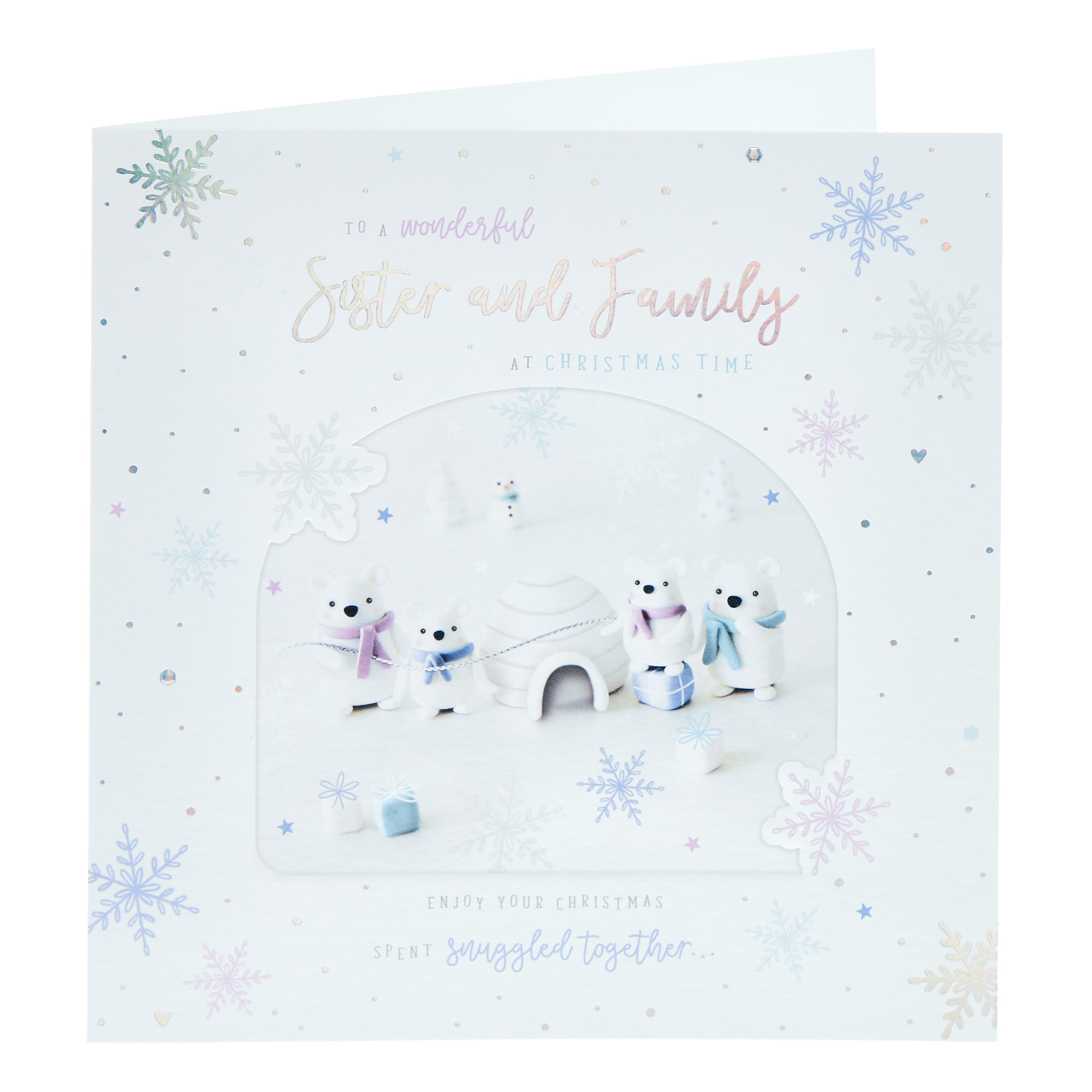 Sister & Family Bears Igloo Christmas Card