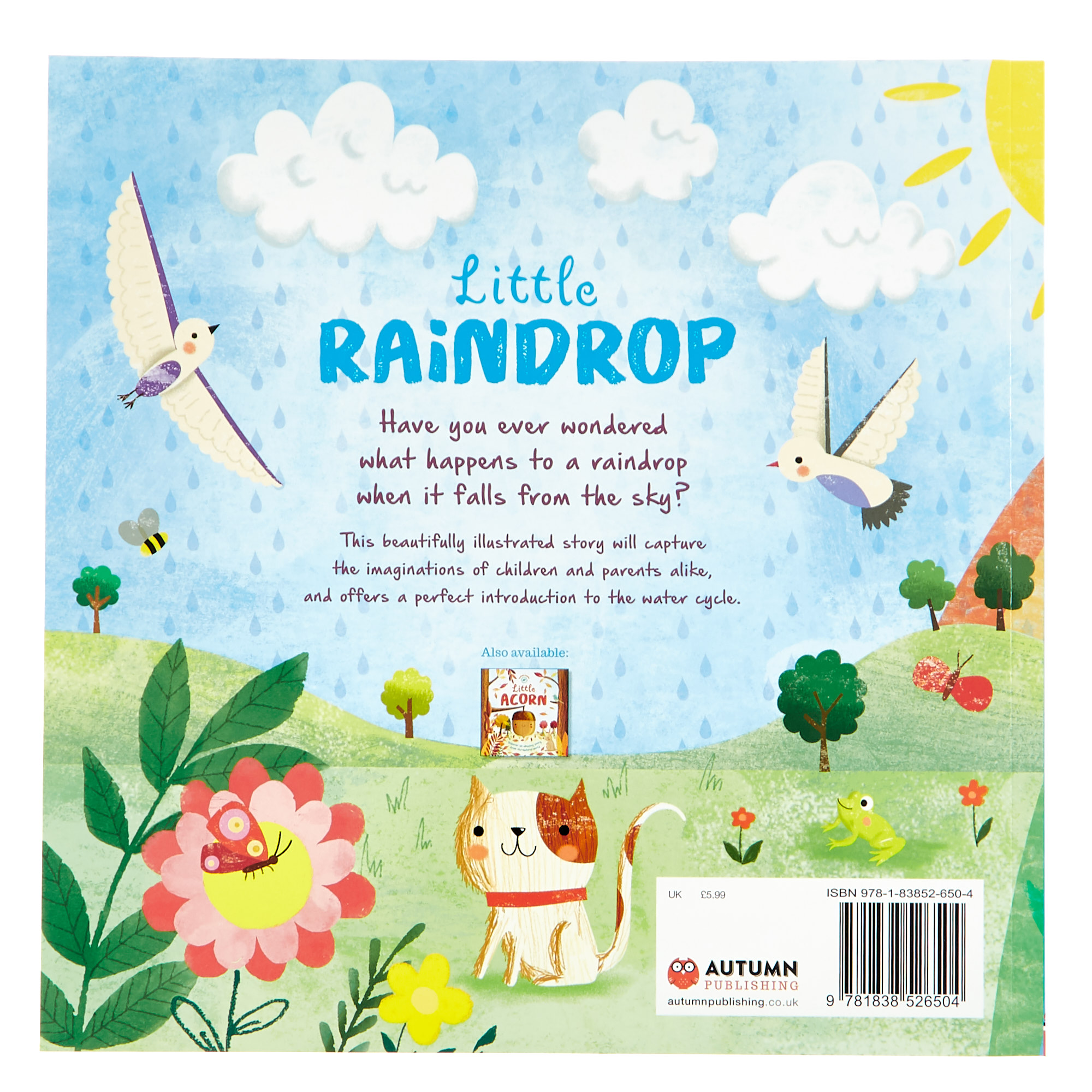 Nature Stories: Little Raindrop Storybook