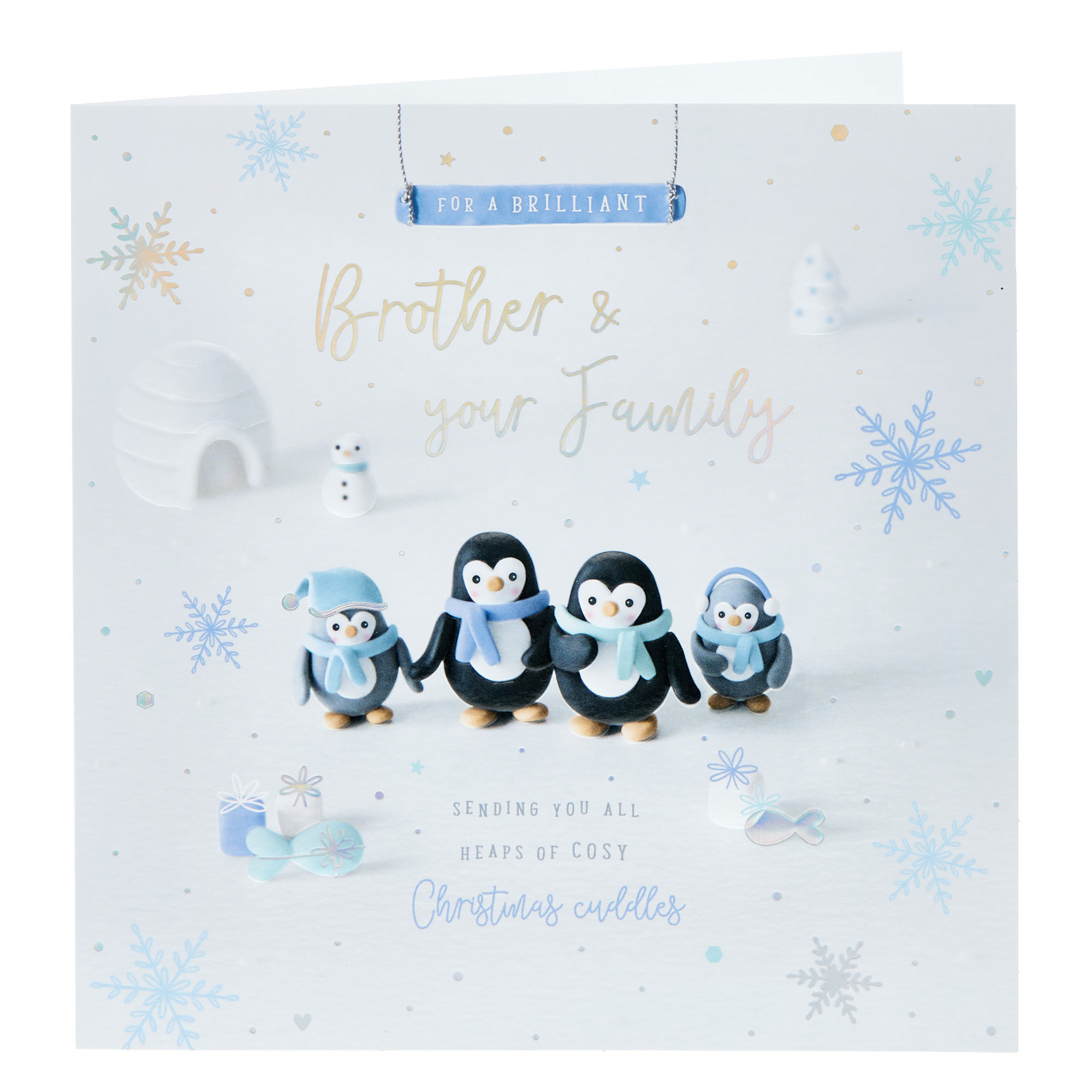 Brother & Family Clay Penguins Christmas Card