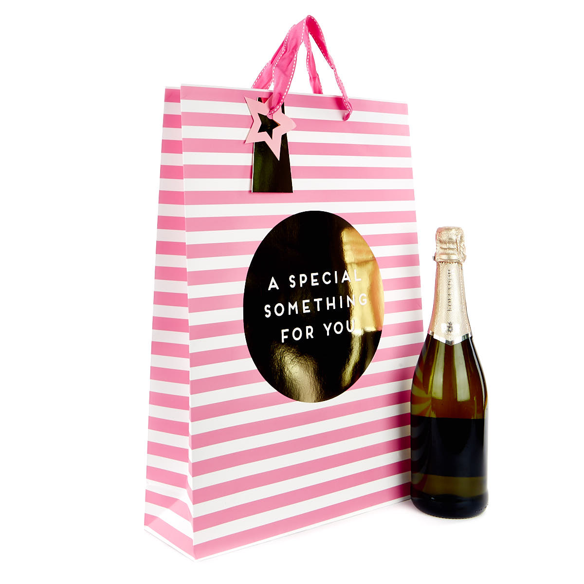 Extra Large Portrait A Special Something Pink Gift Bag