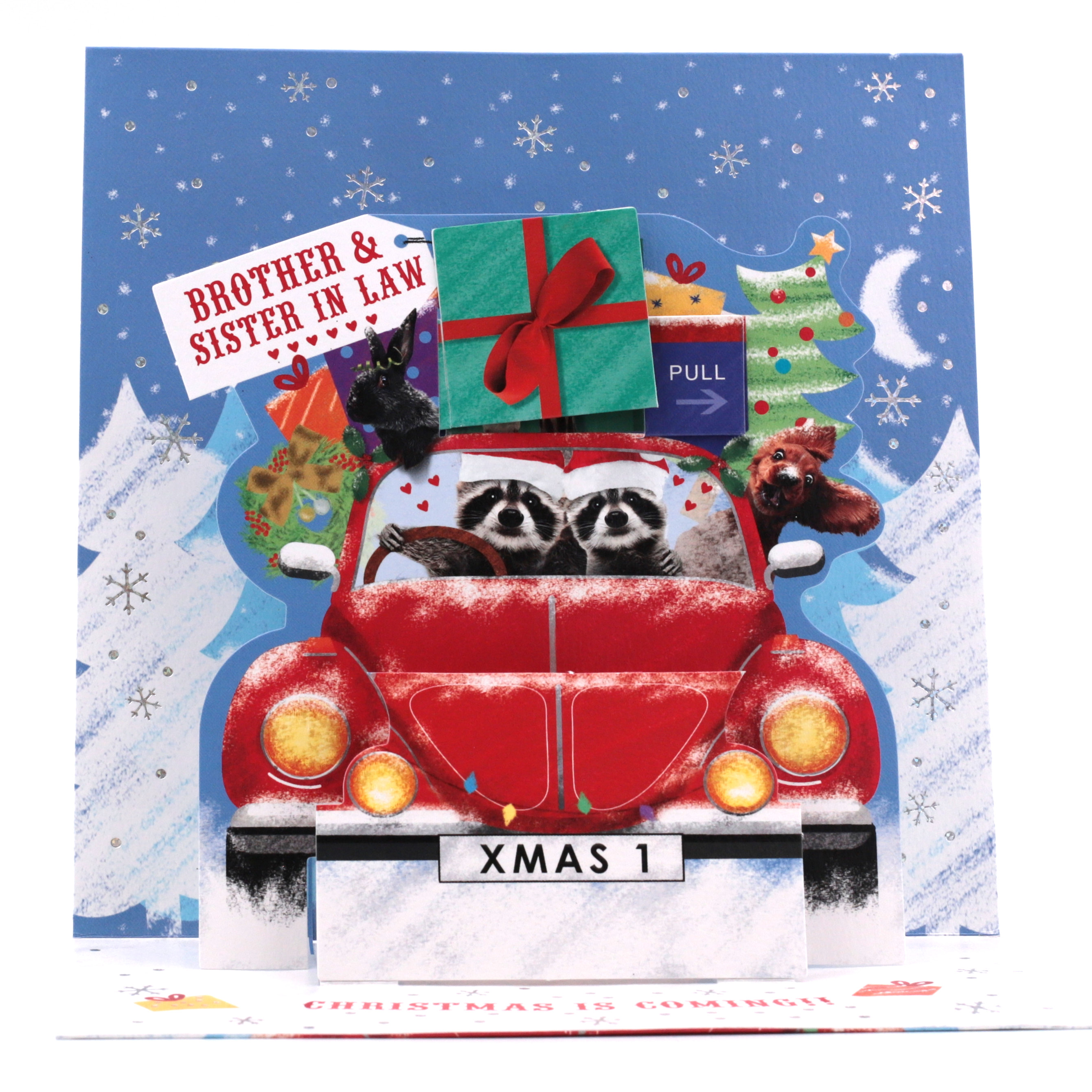 Exquisite Collection Christmas Pop-Up Card - Brother And Sister In Law, Raccoon Car