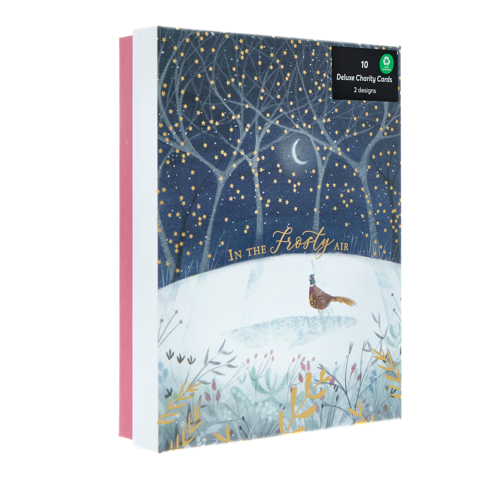 10 Deluxe Boxed Charity Christmas Cards - Winter Birds (2 Designs) 